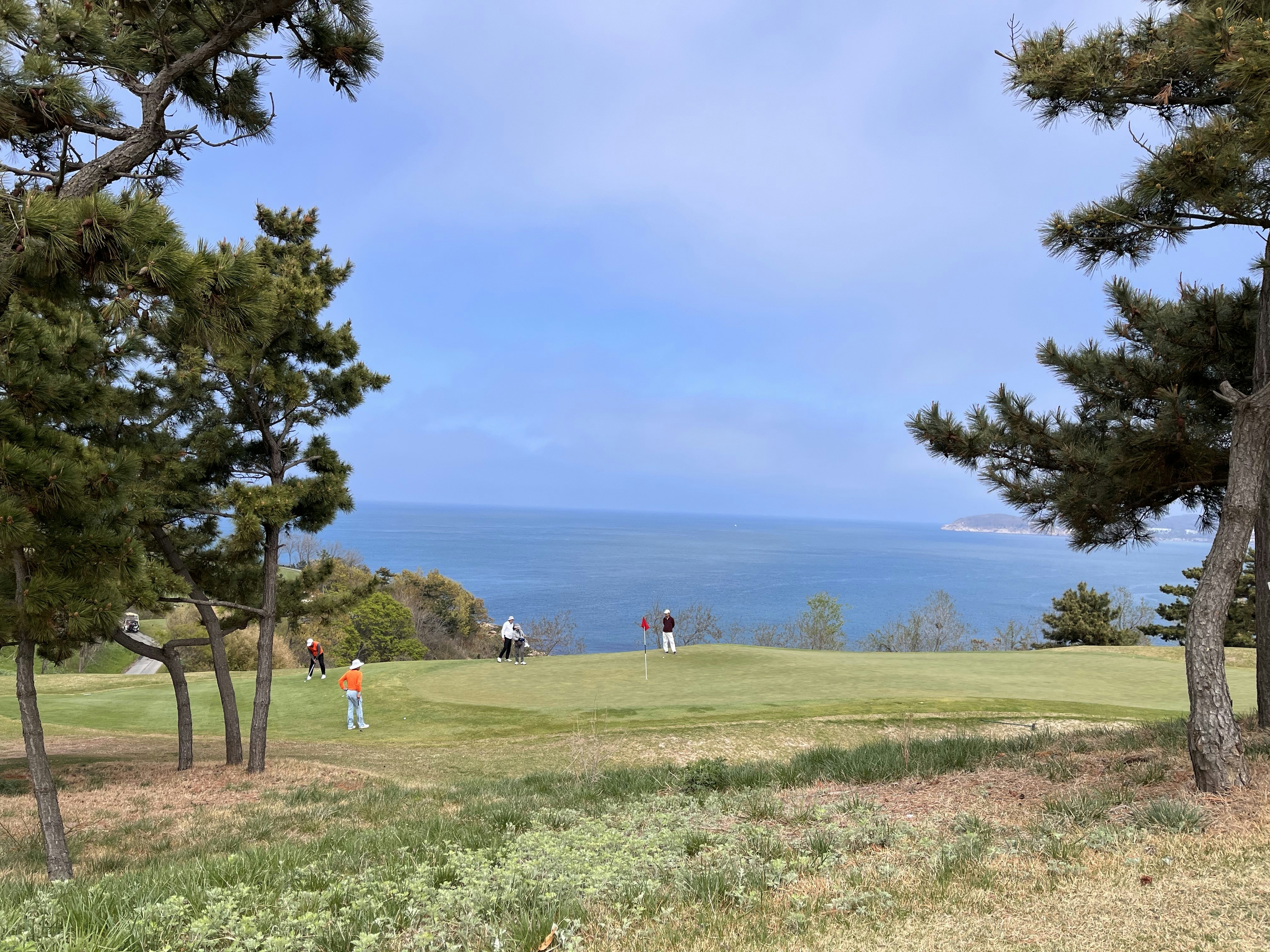 a group of people standing on top of a lush green field