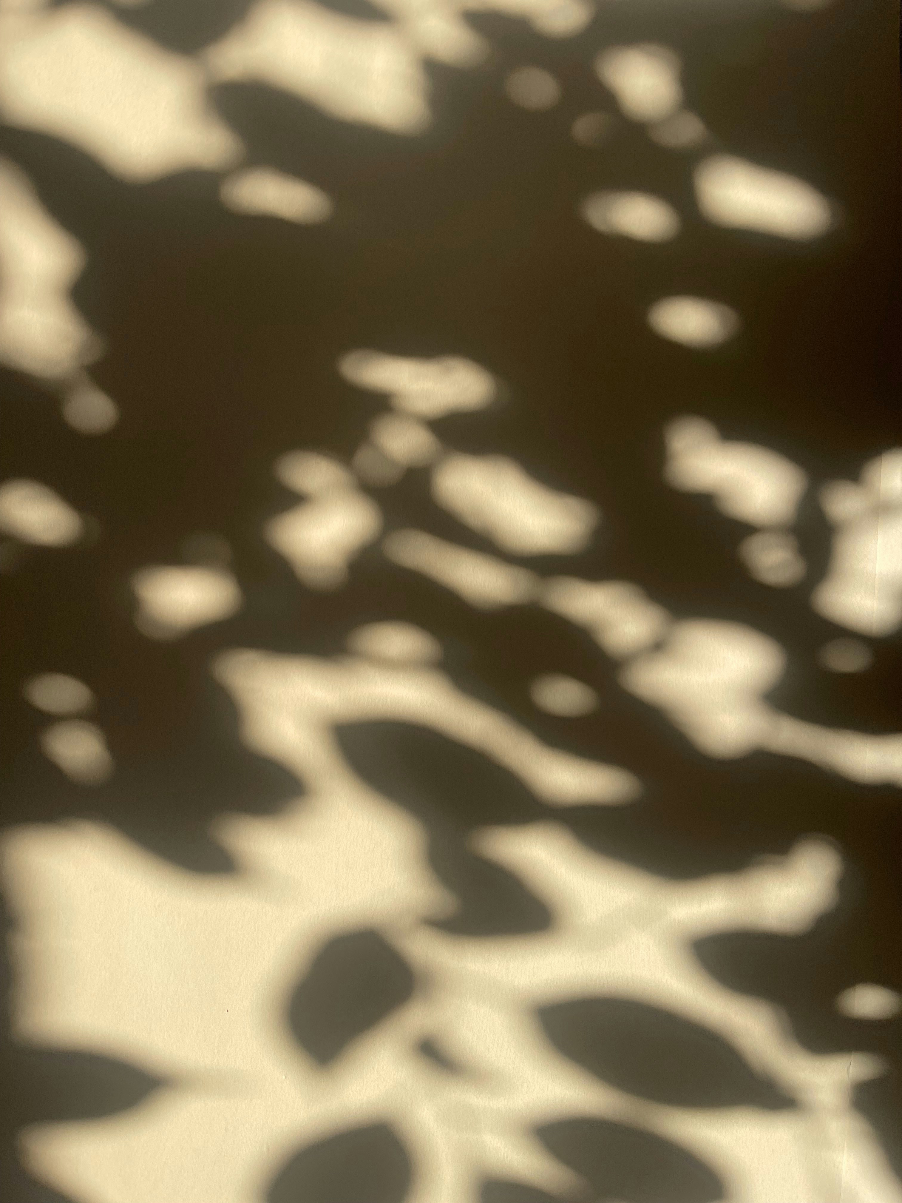 Photo by inna_lobacheva