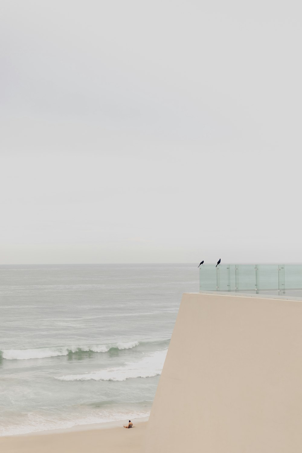 a couple of birds flying over a beach next to the ocean