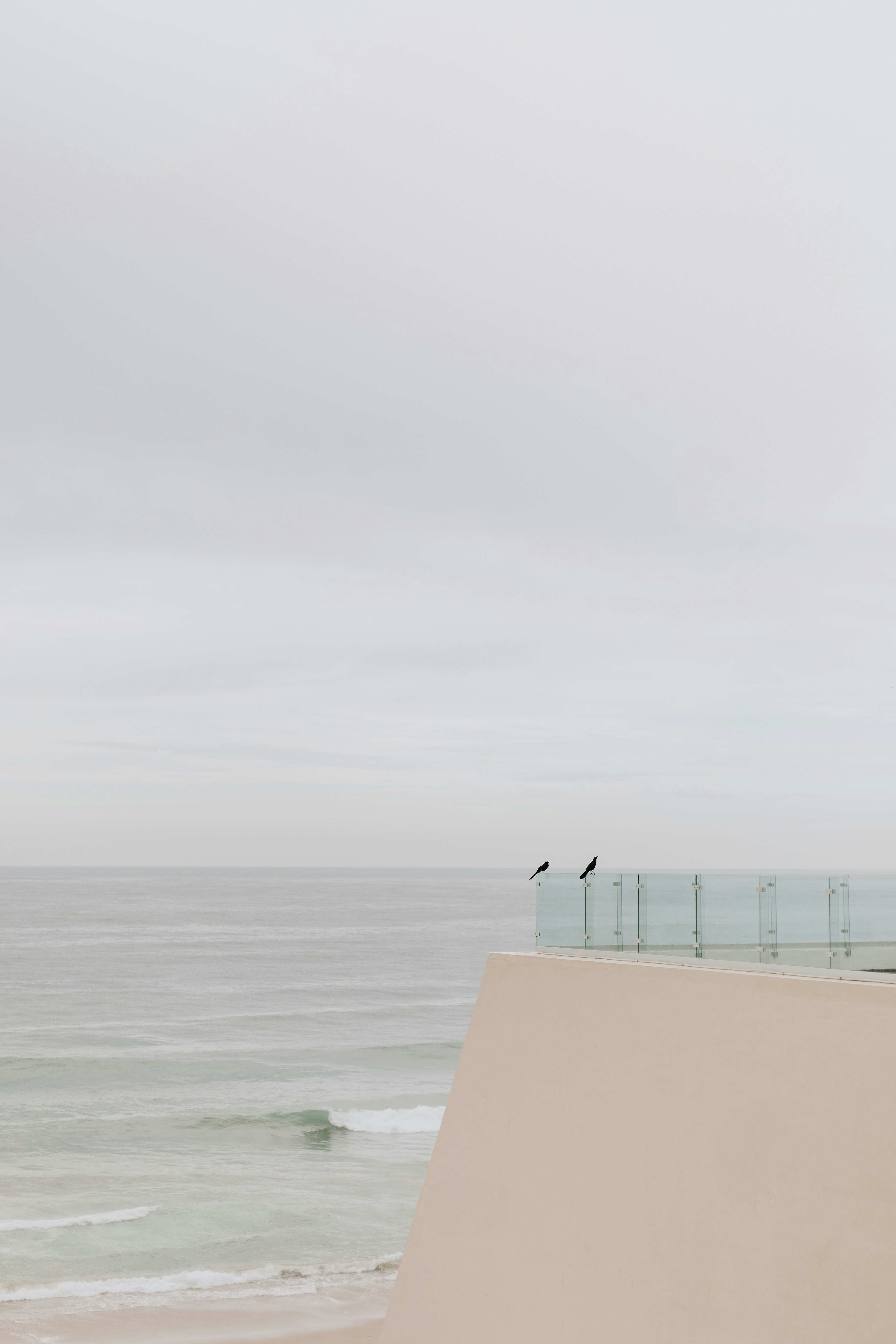 Photo by miguelheezg