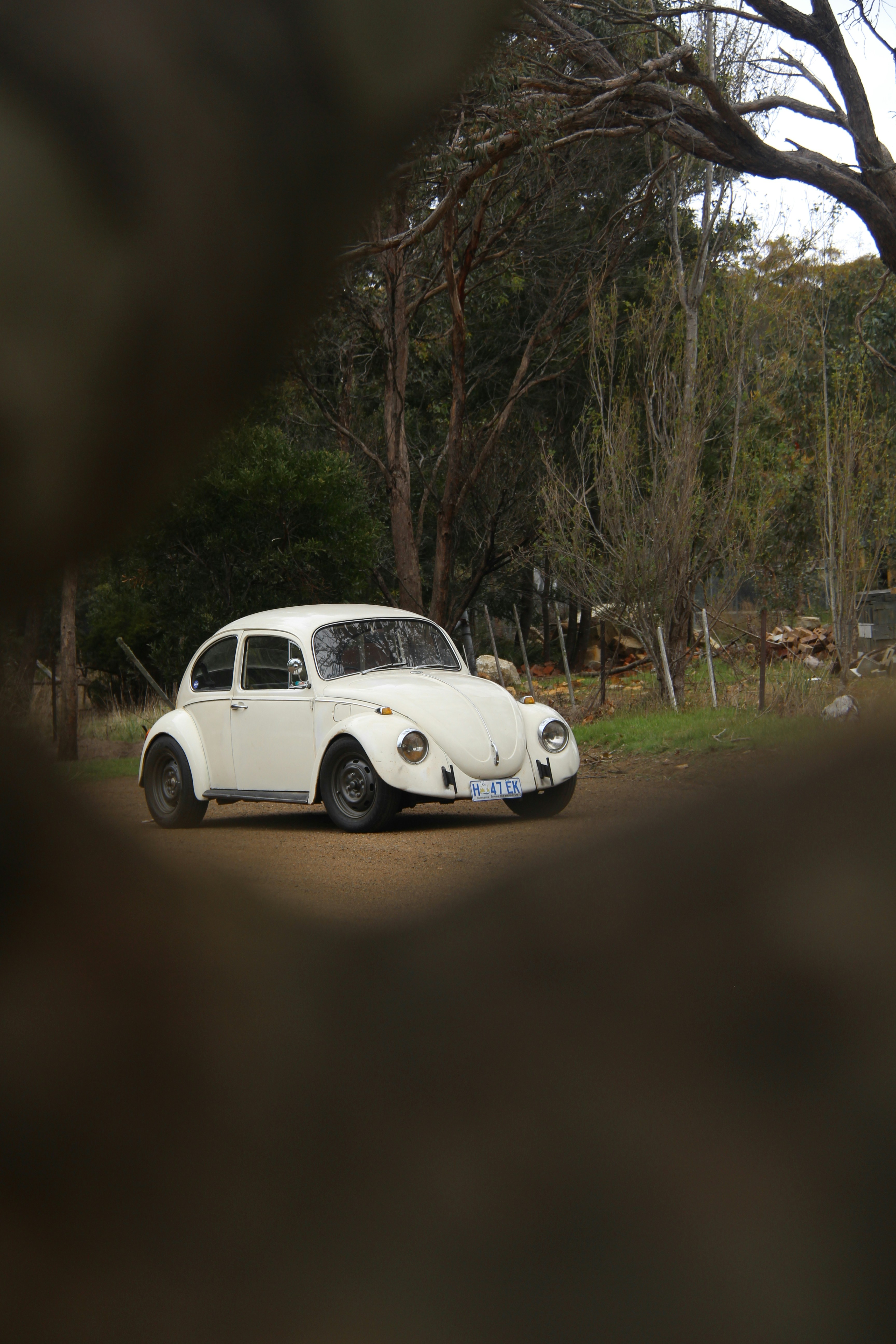 Photo by angustwining