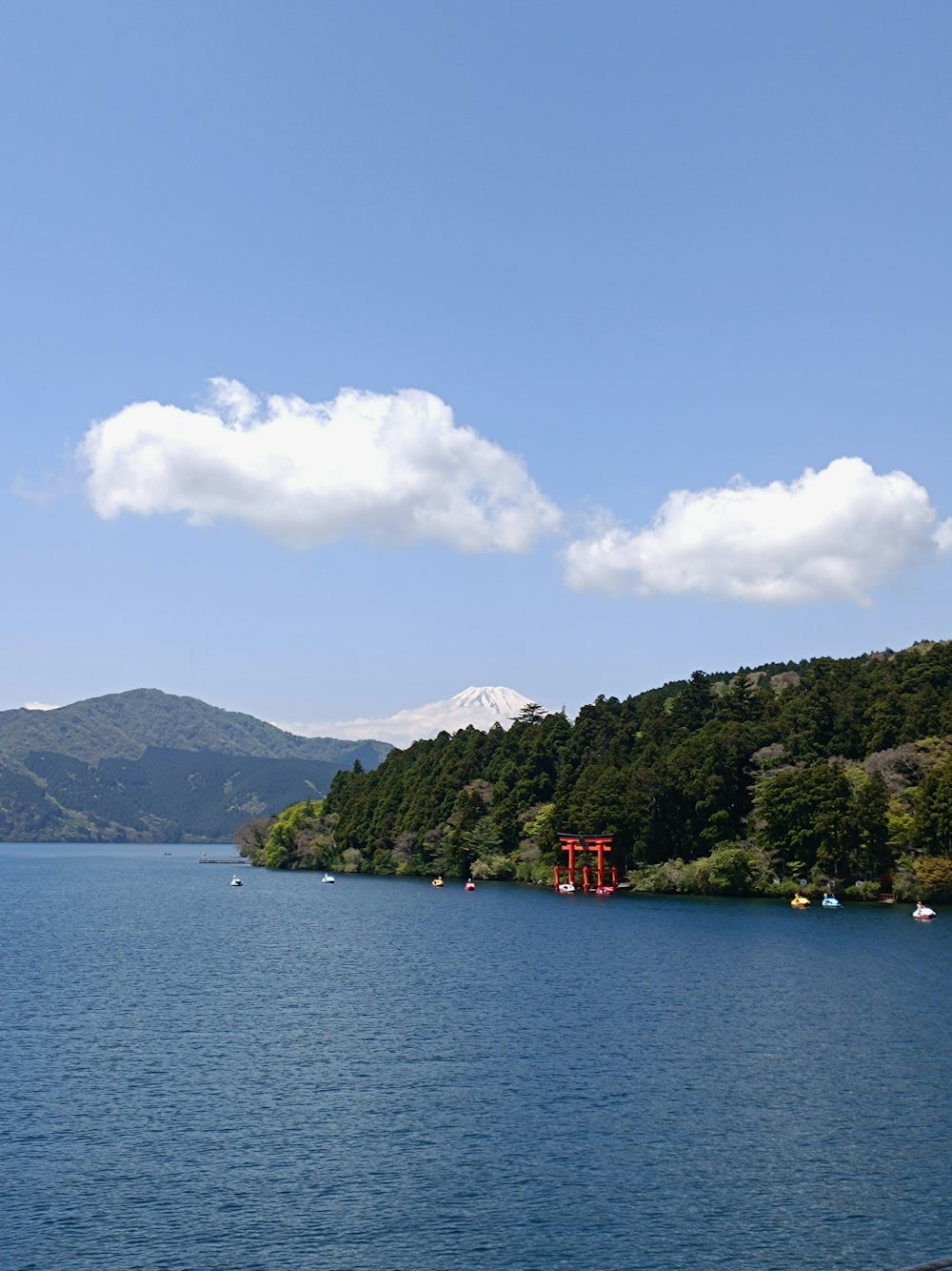 a body of water surrounded by trees and mountains