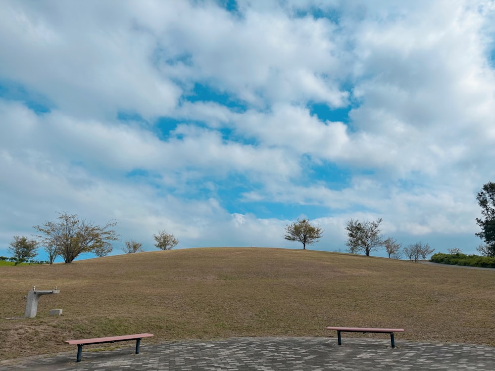 a couple of benches sitting on top of a grass covered field