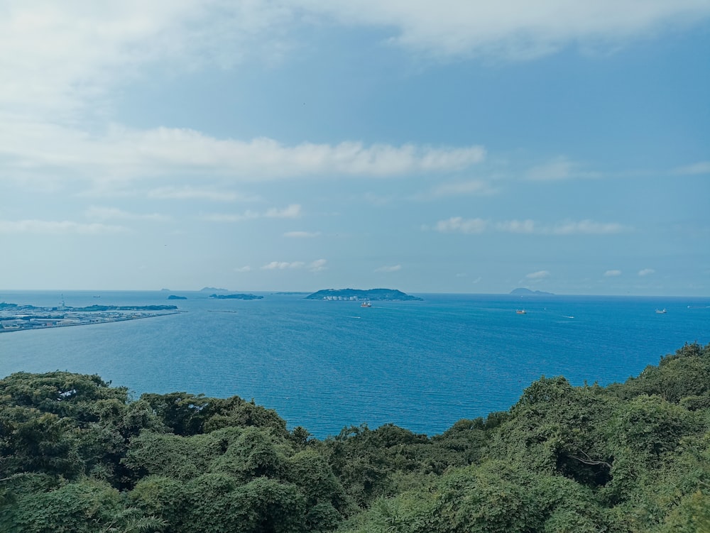 a large body of water surrounded by trees