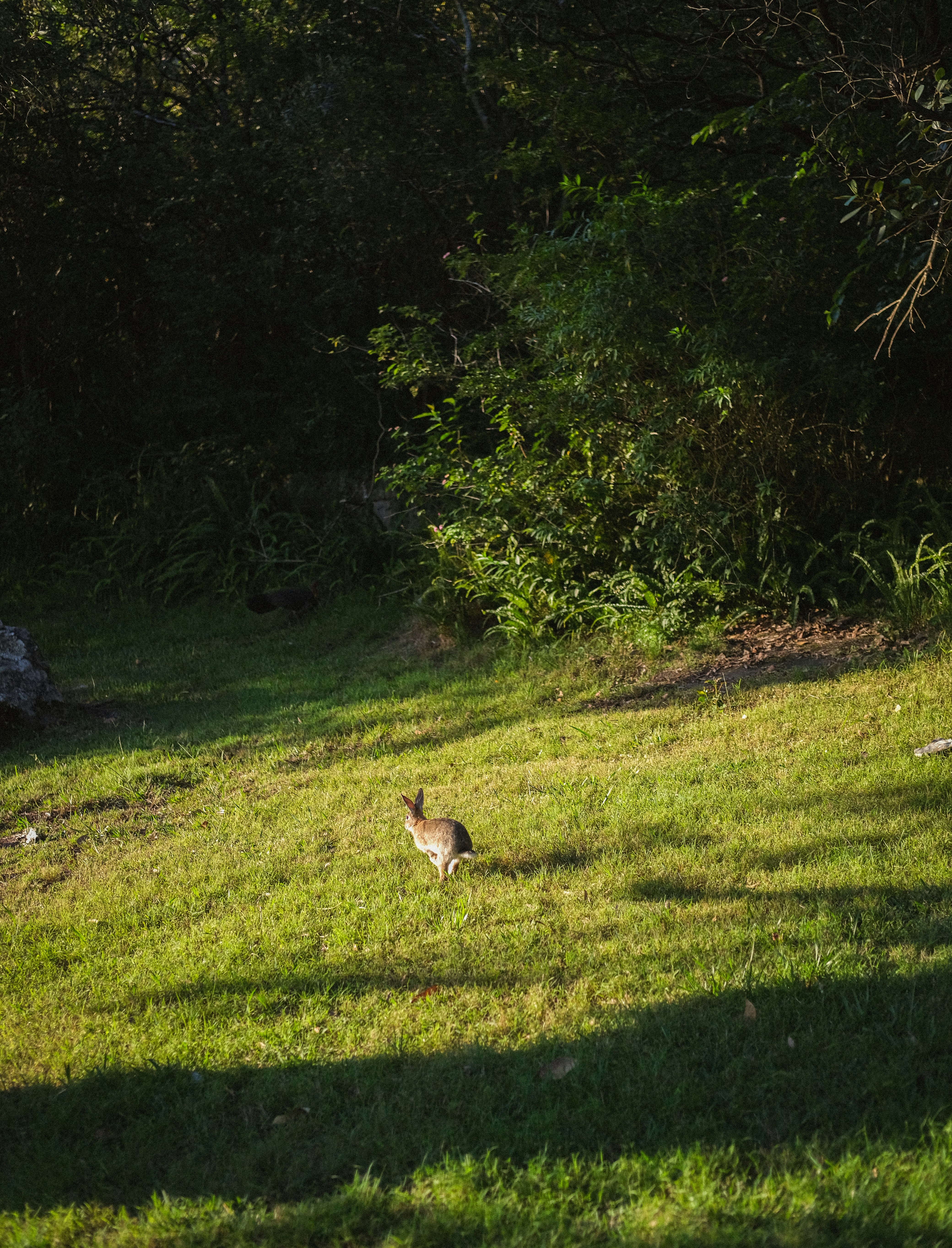 Photo by hanguyennguyen