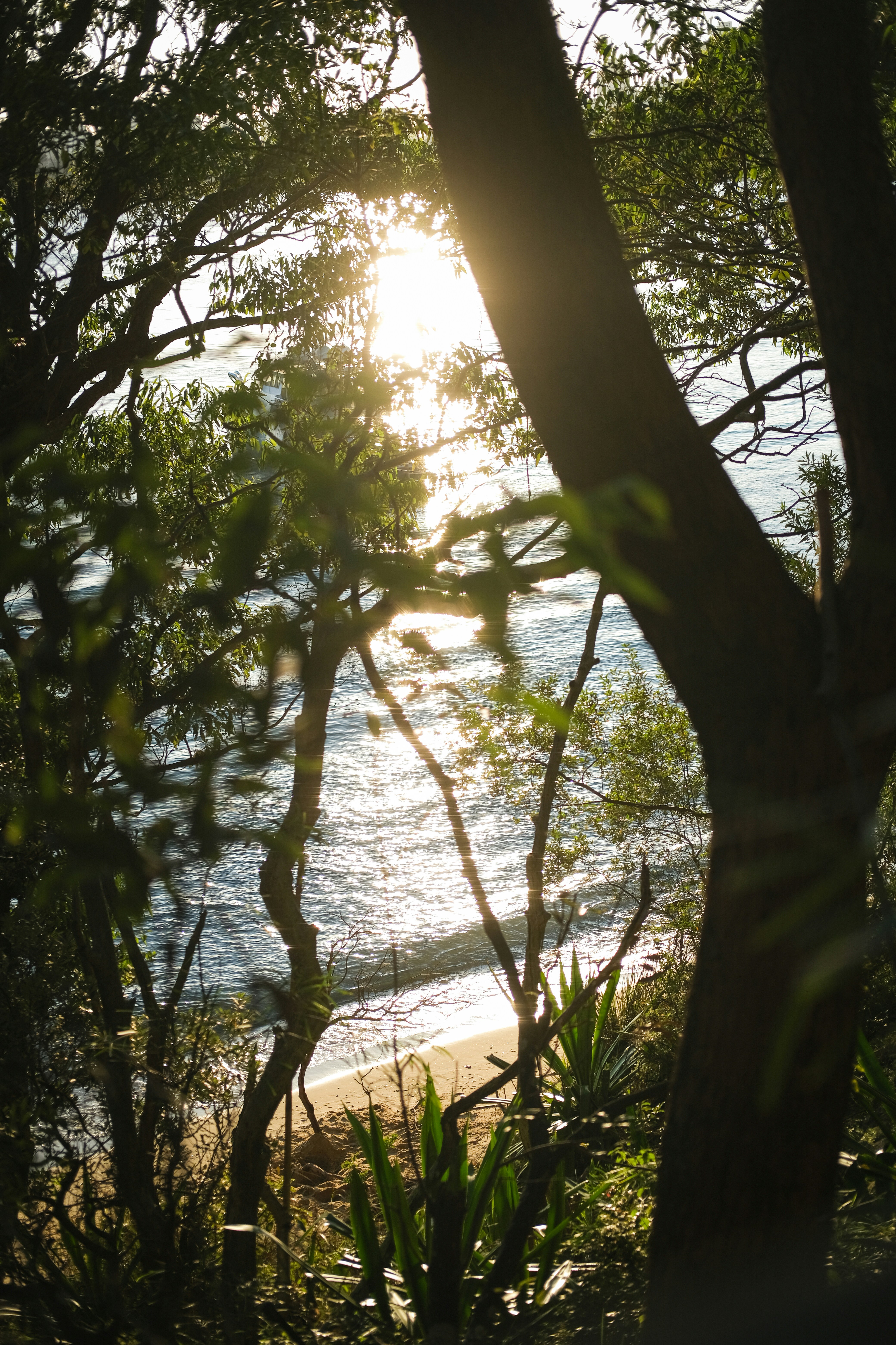 Photo by hanguyennguyen