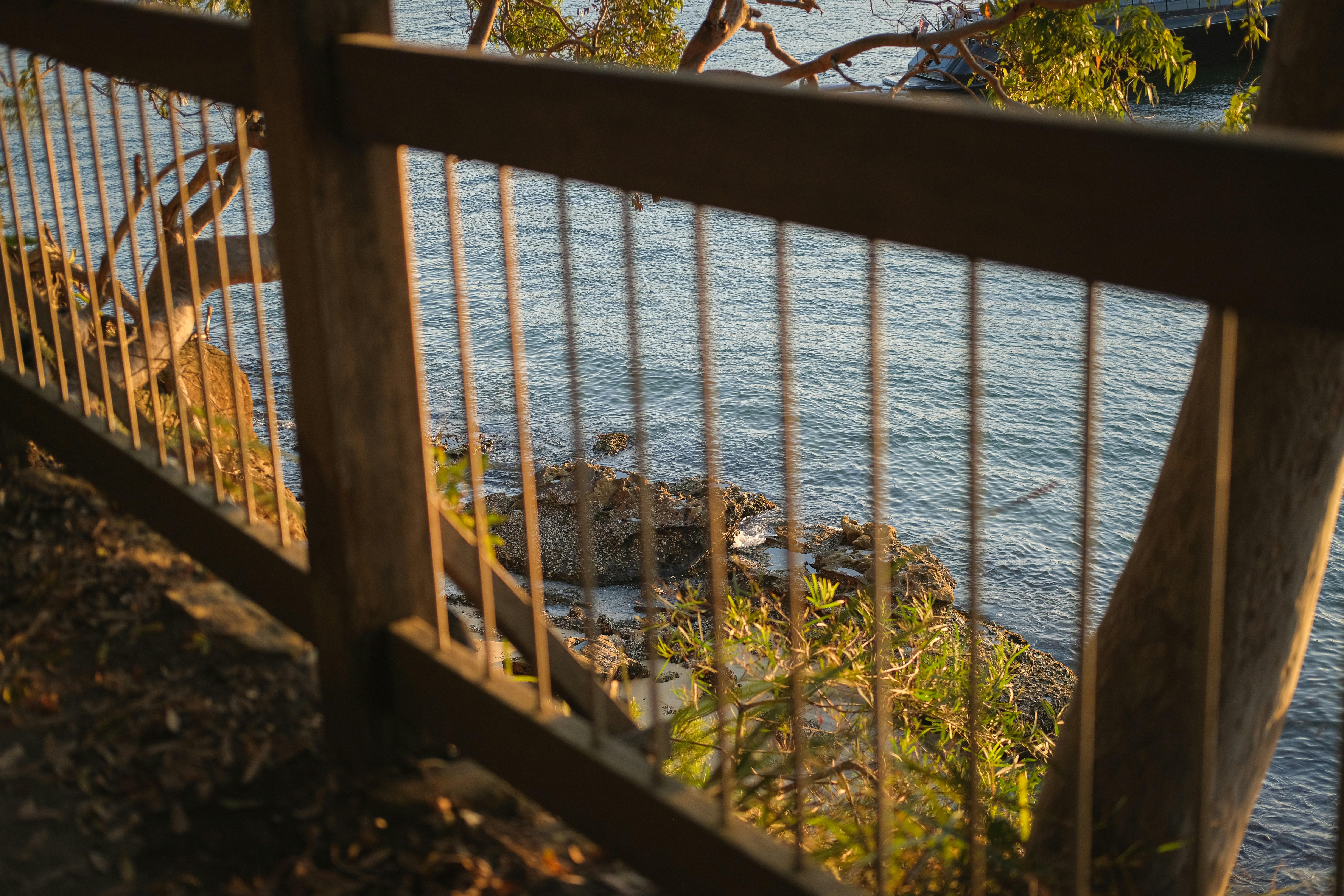 Photo by hanguyennguyen