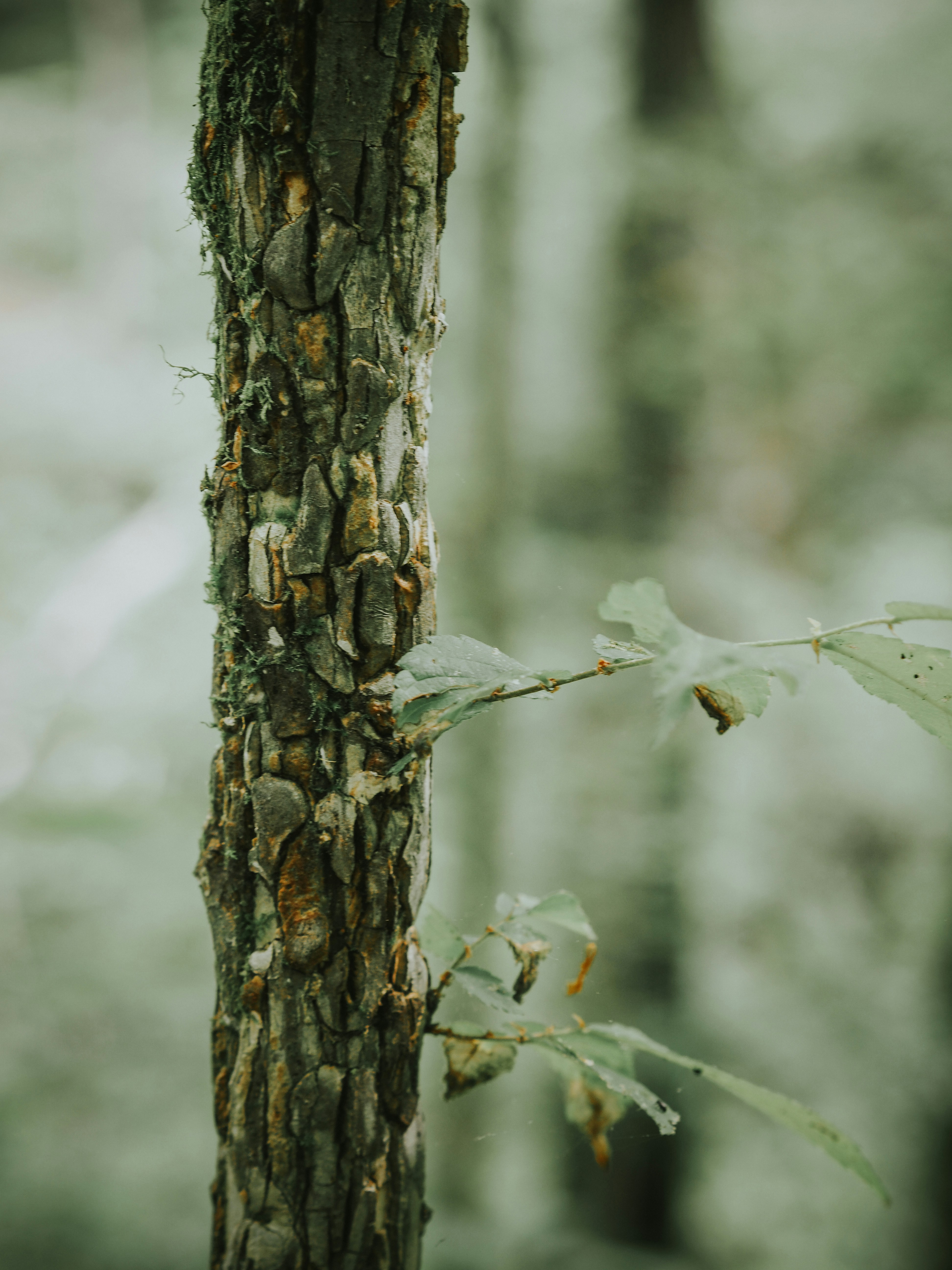 Photo by fieldworkframes