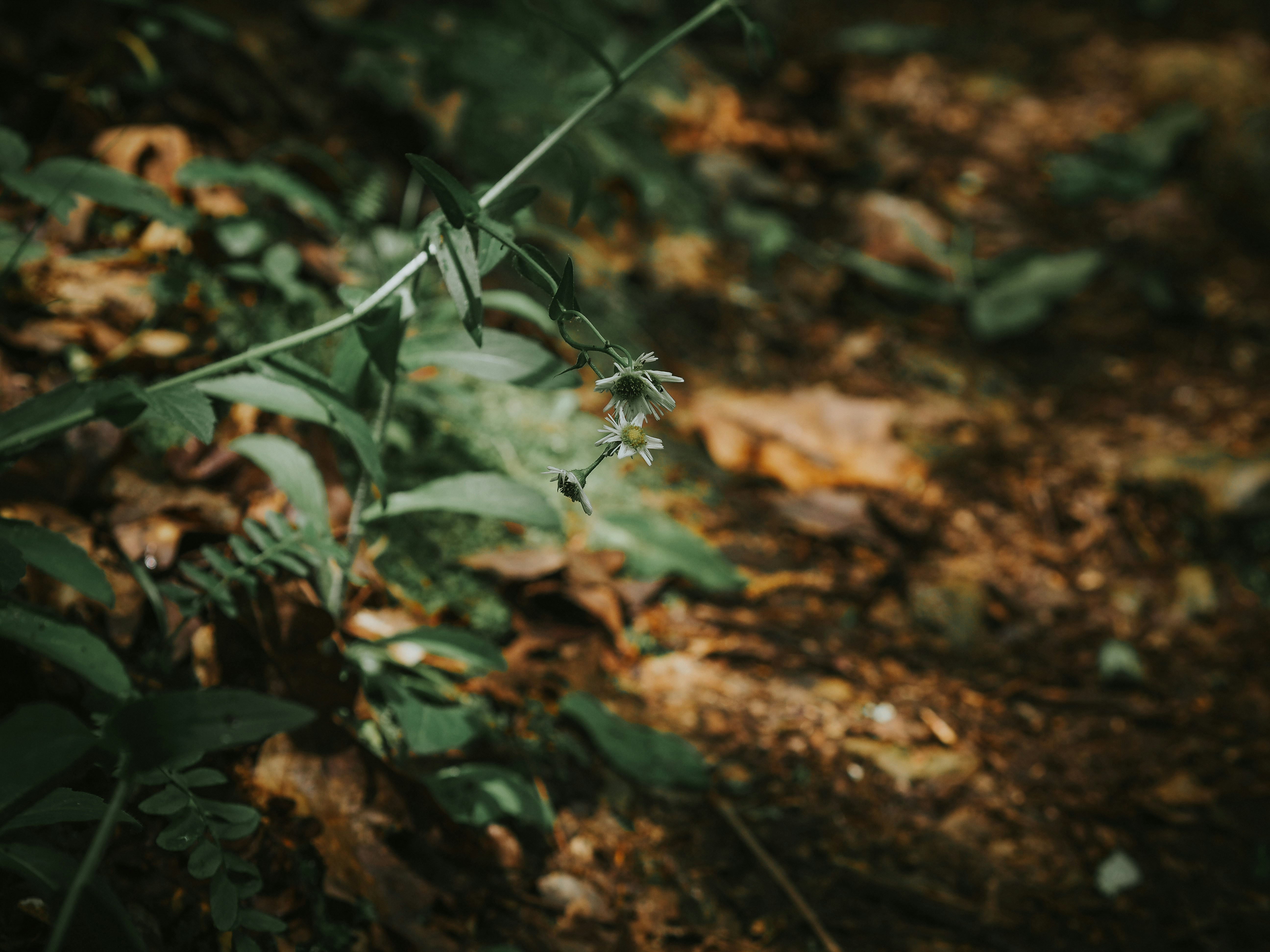 Photo by fieldworkframes