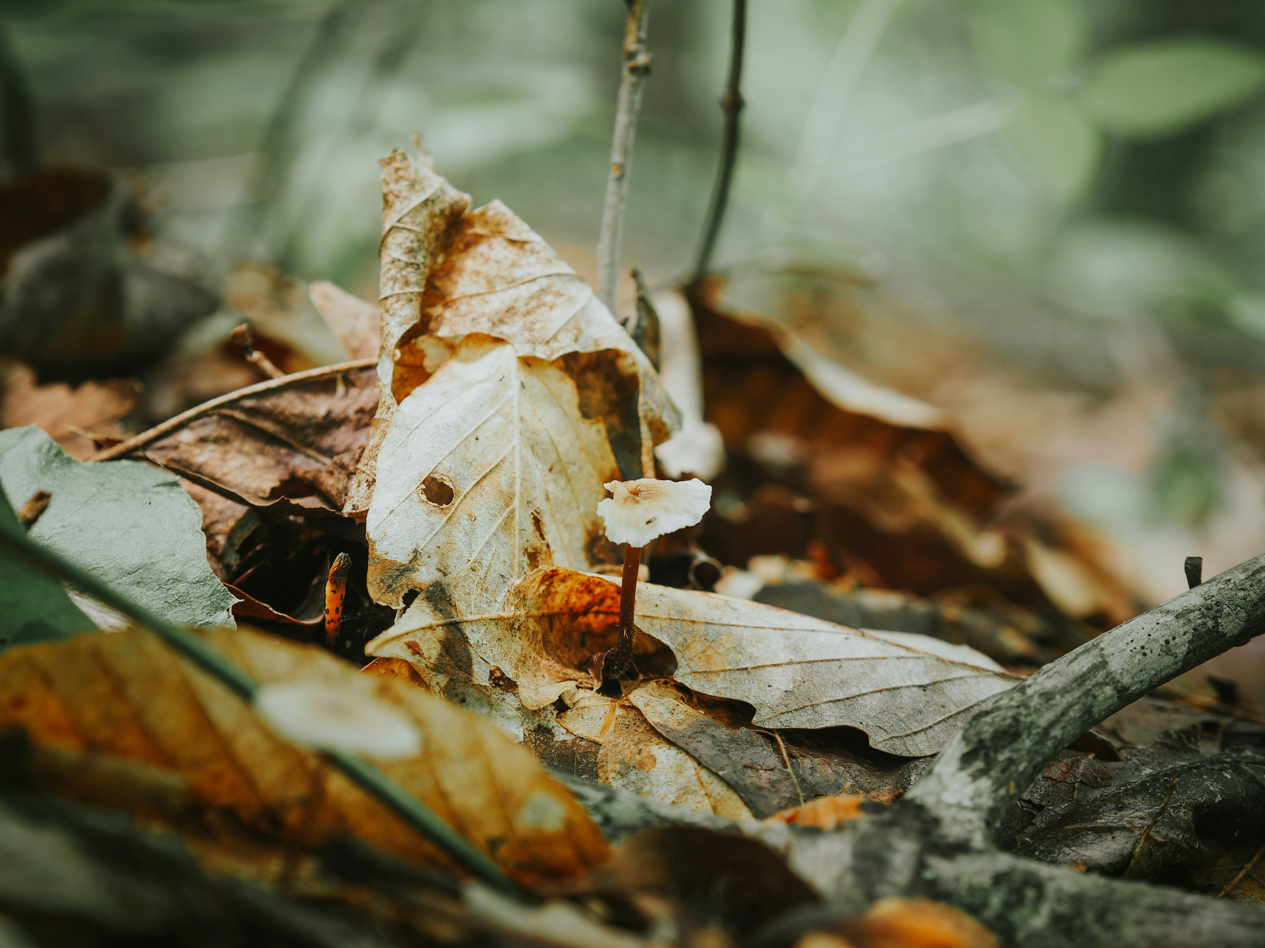 Photo by fieldworkframes