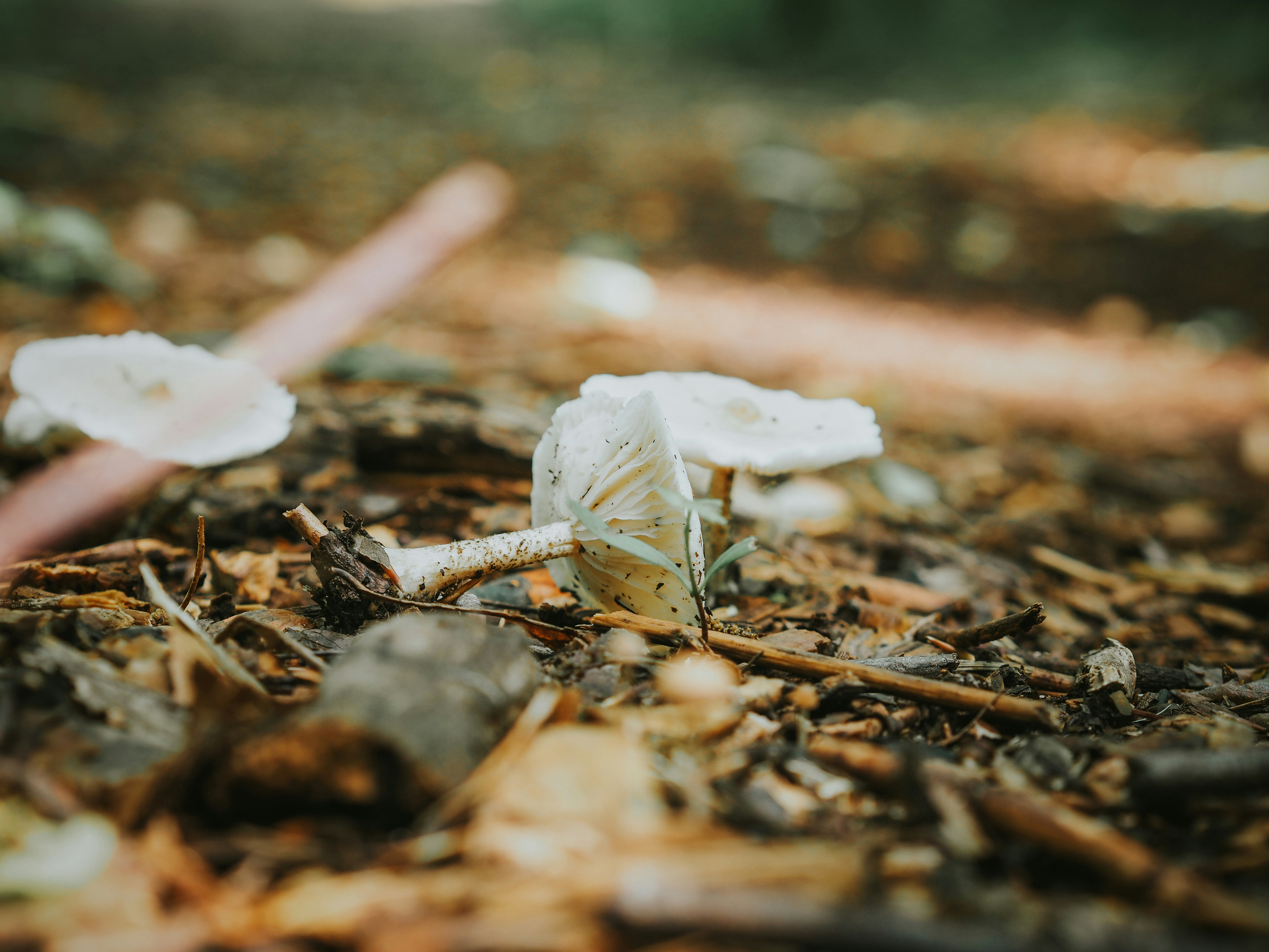 Photo by fieldworkframes