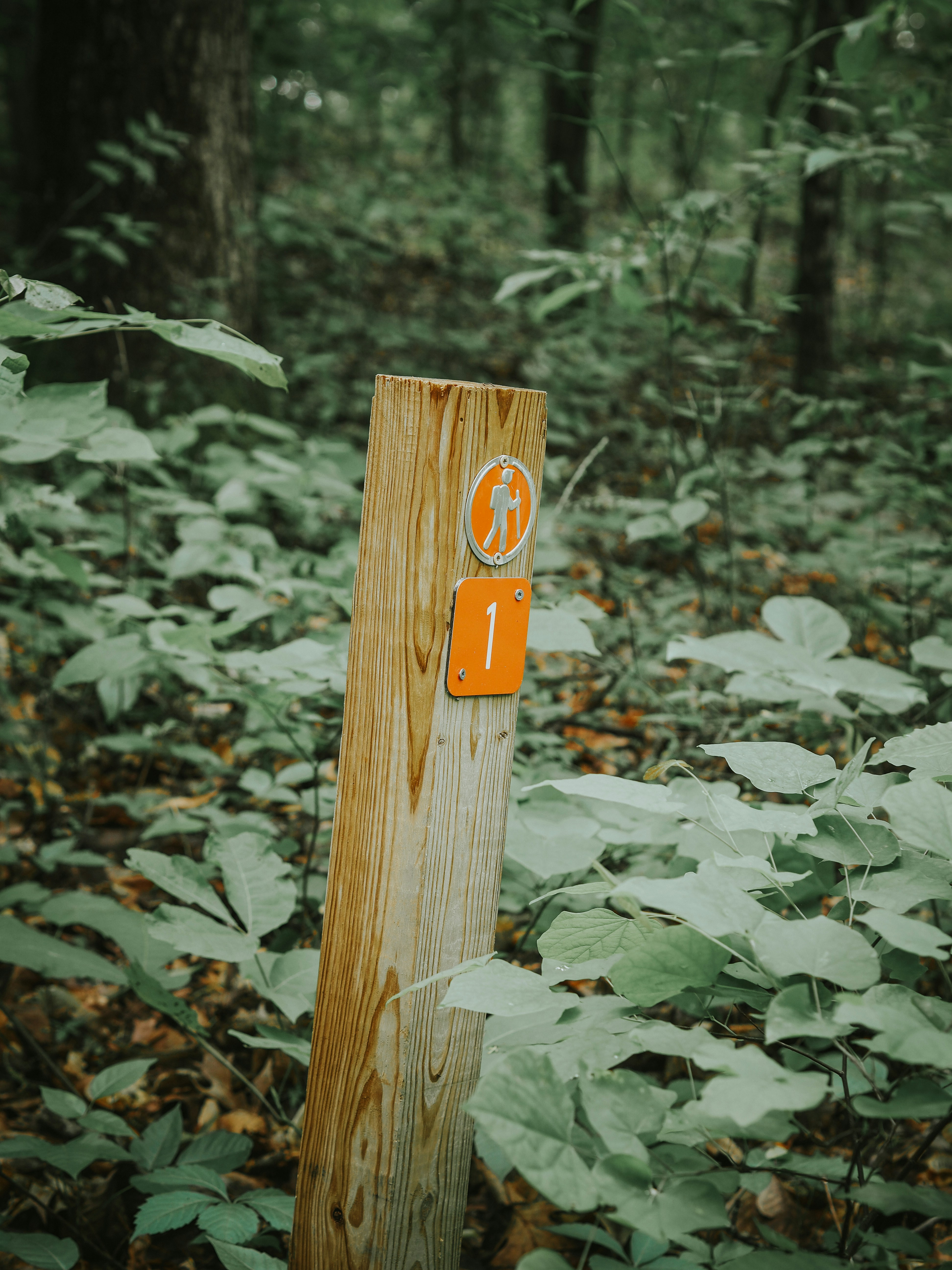 Photo by fieldworkframes