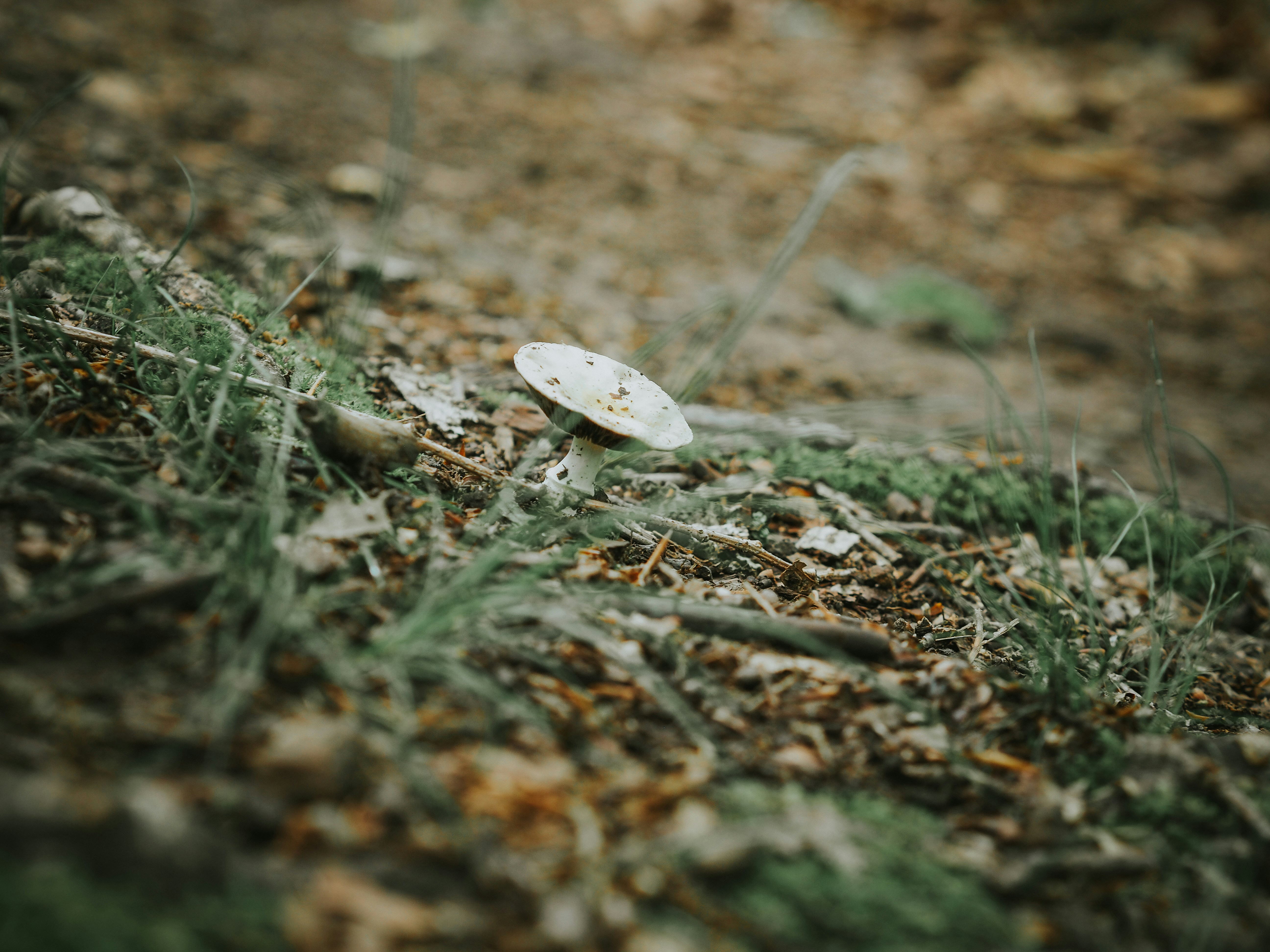 Photo by fieldworkframes