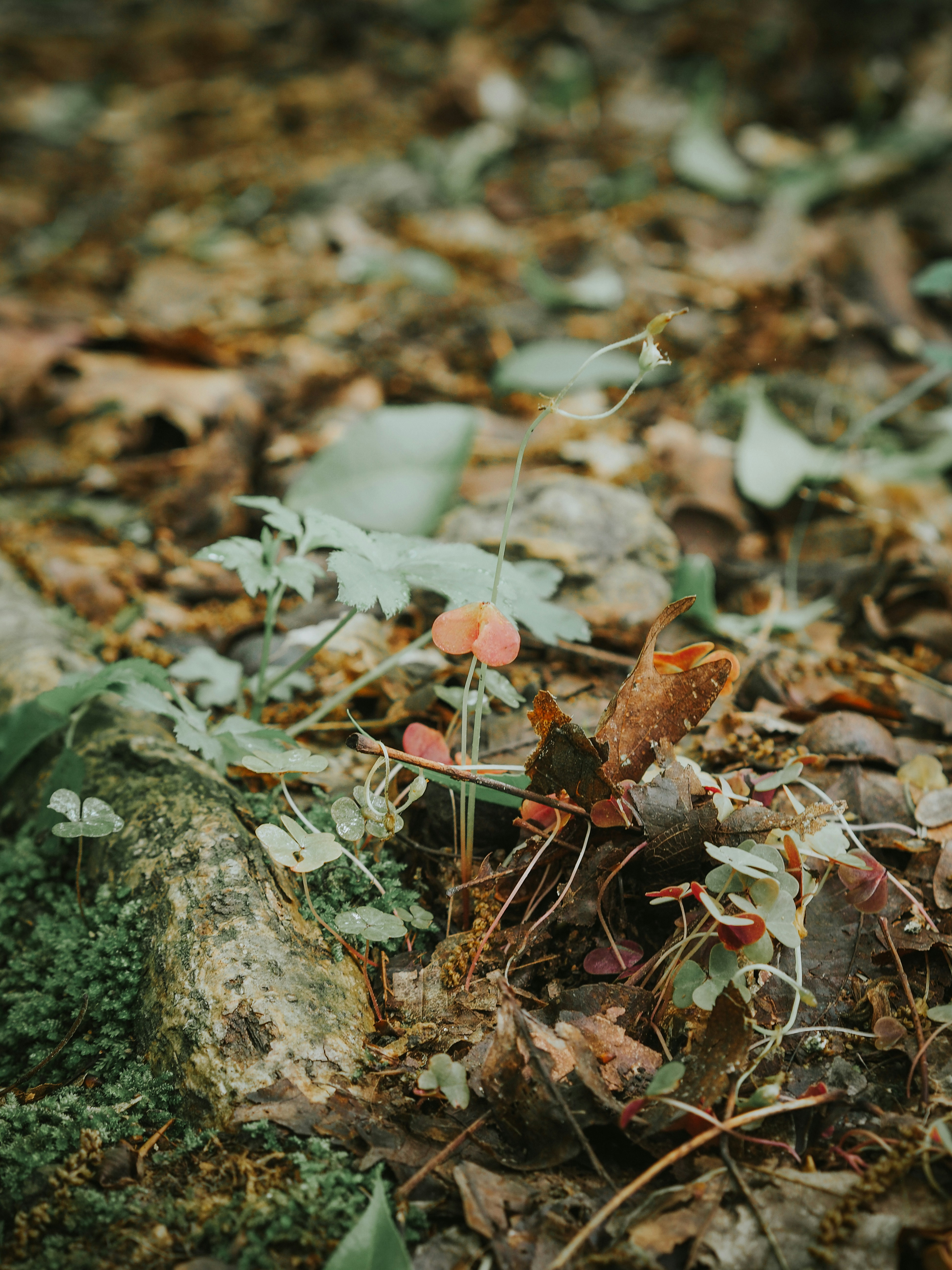 Photo by fieldworkframes