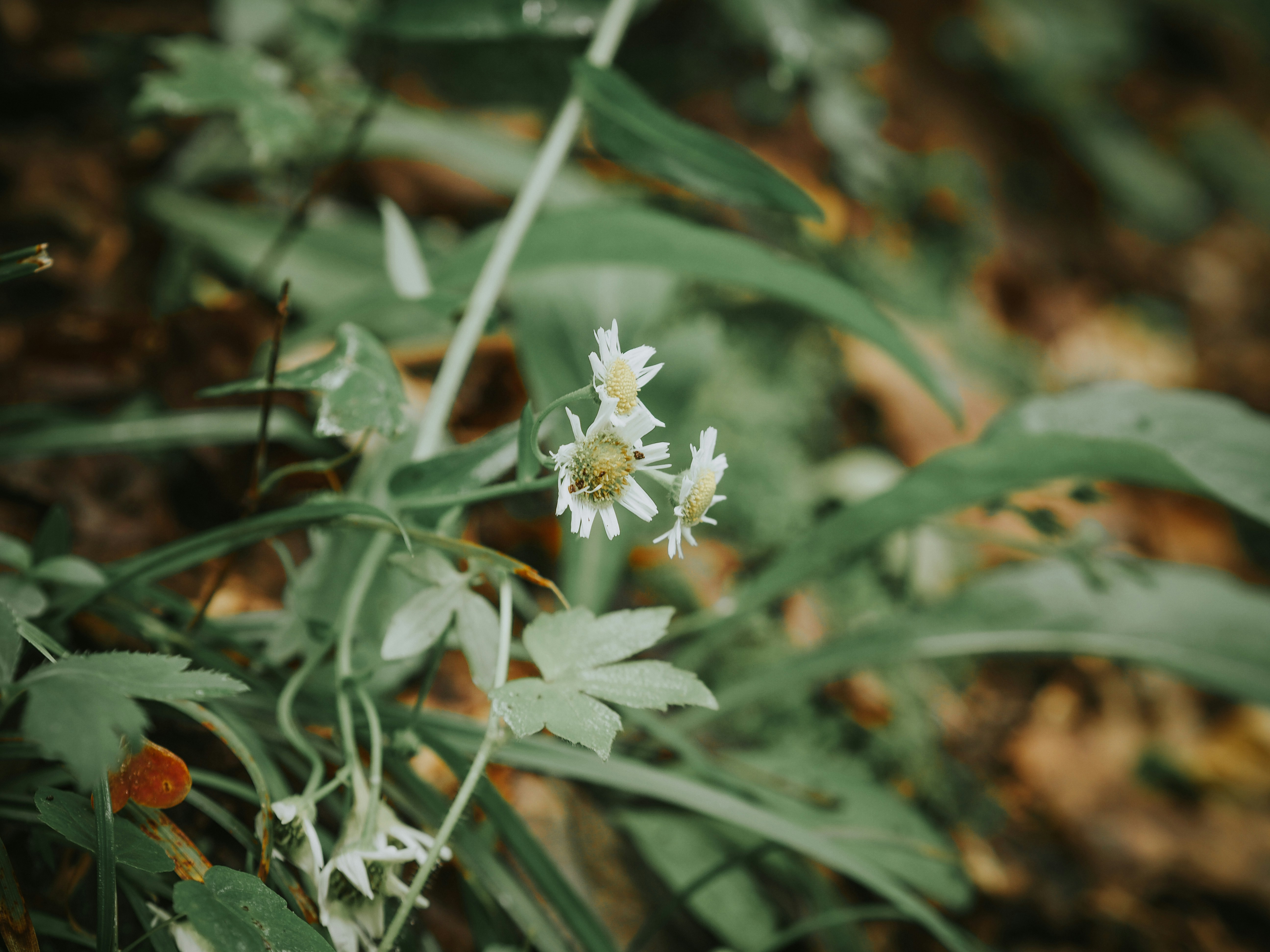 Photo by fieldworkframes