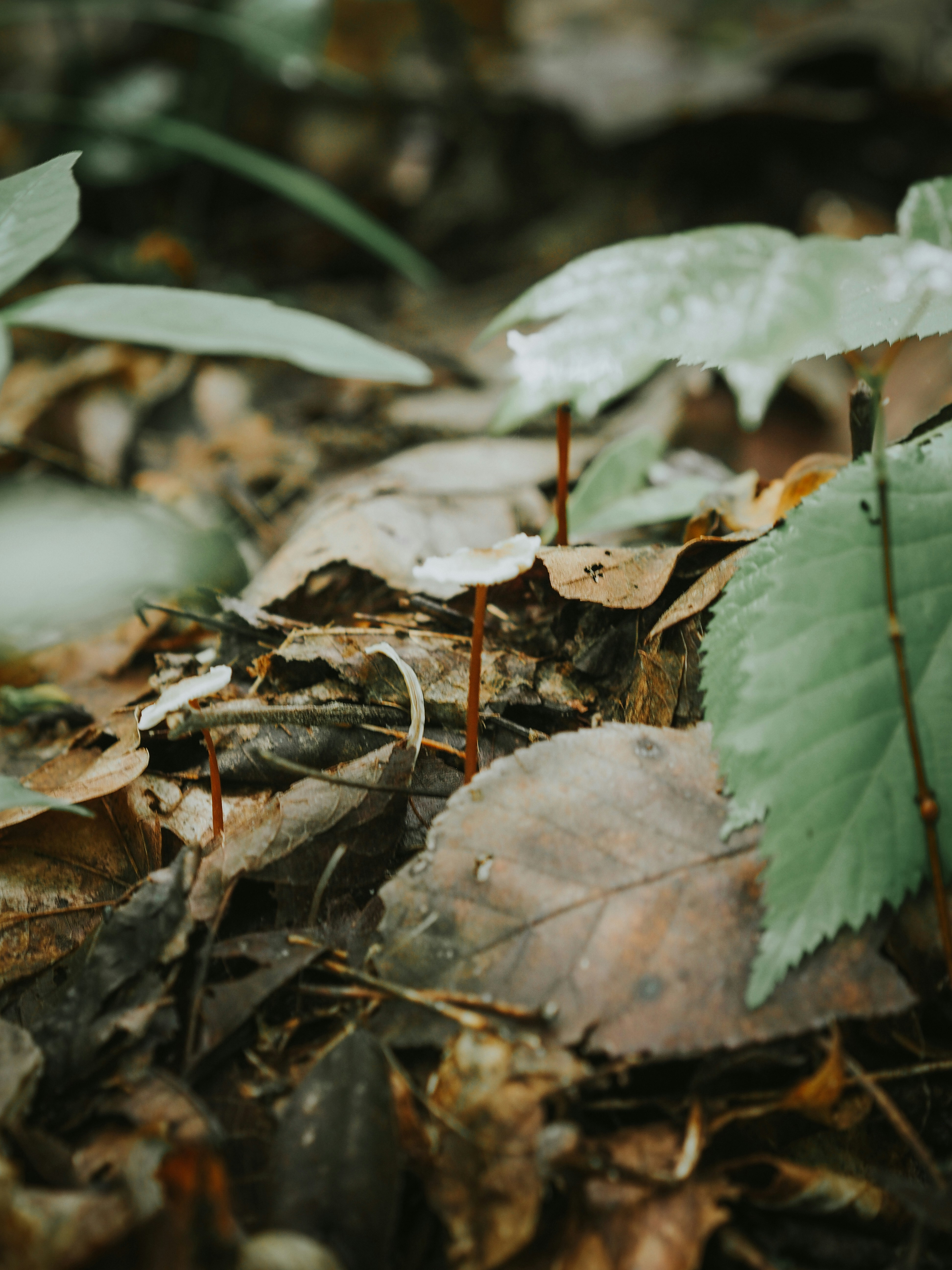 Photo by fieldworkframes