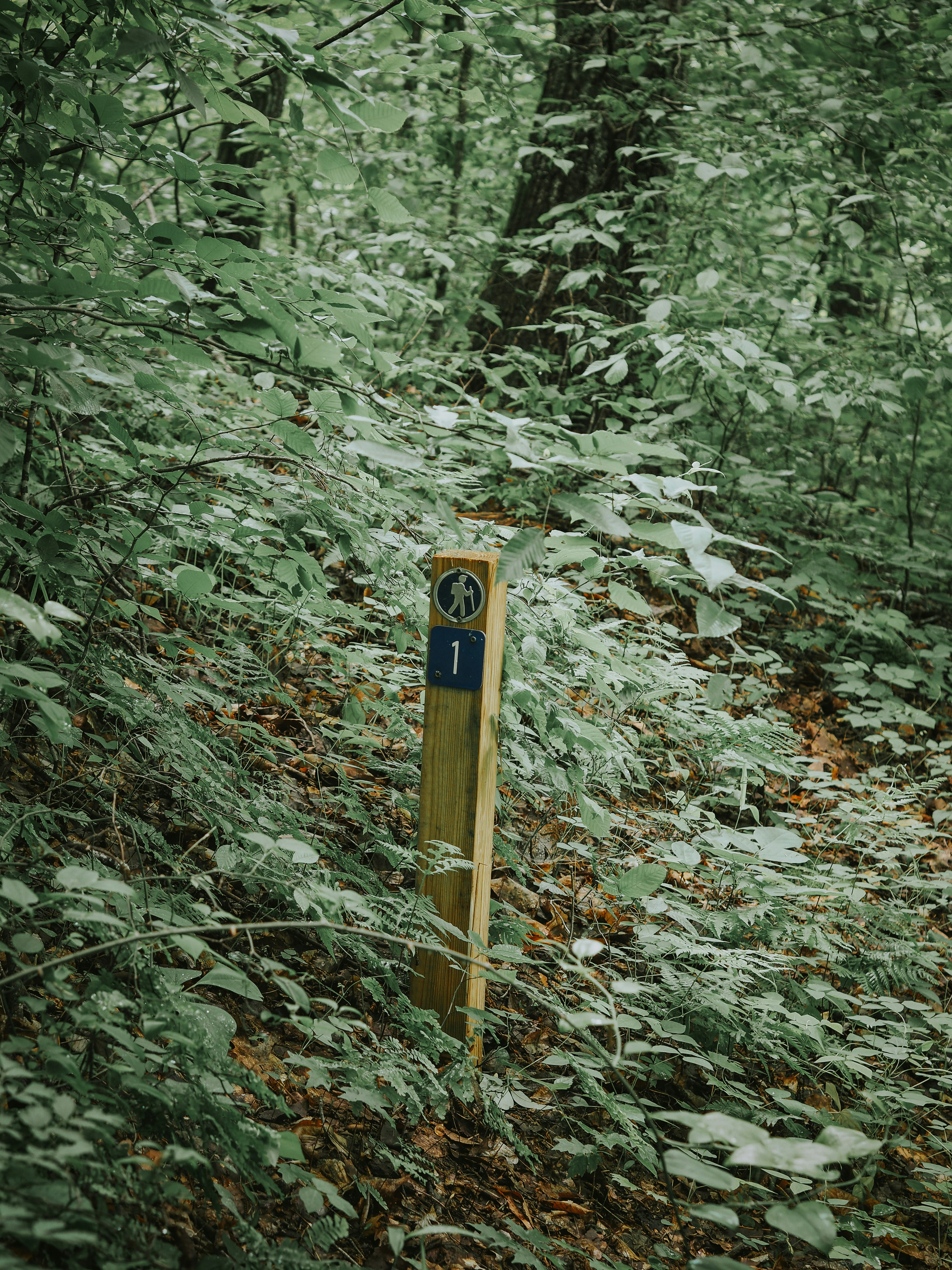 Photo by fieldworkframes