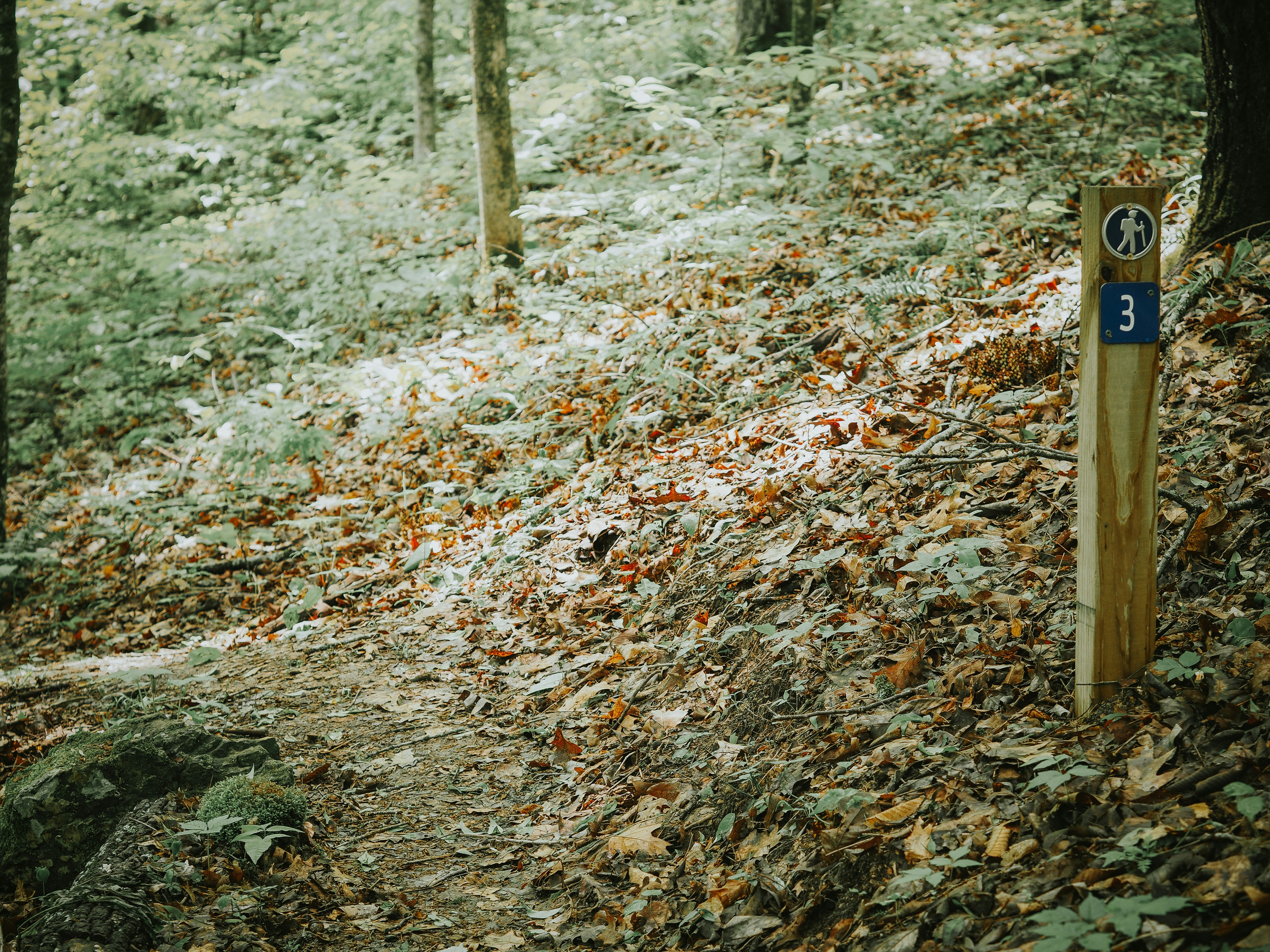 Photo by fieldworkframes