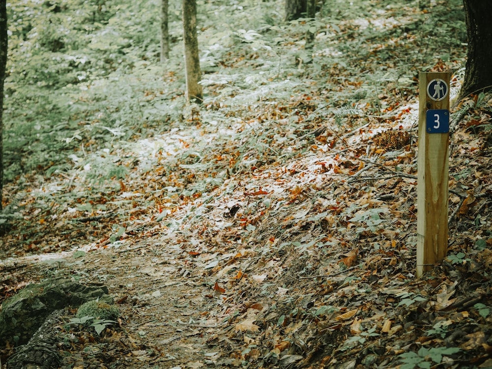 a wooden sign on a trail in the woods