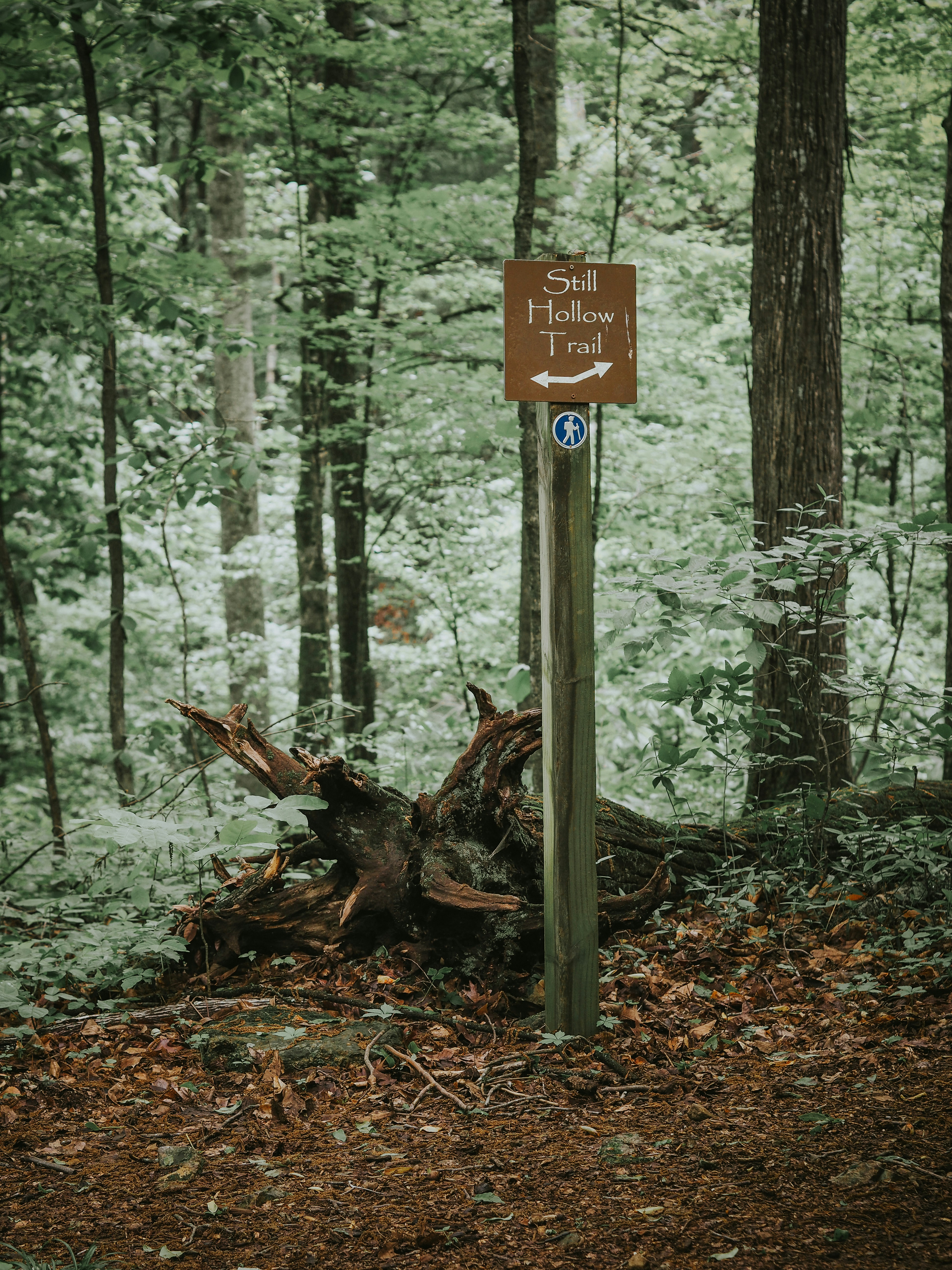 Photo by fieldworkframes