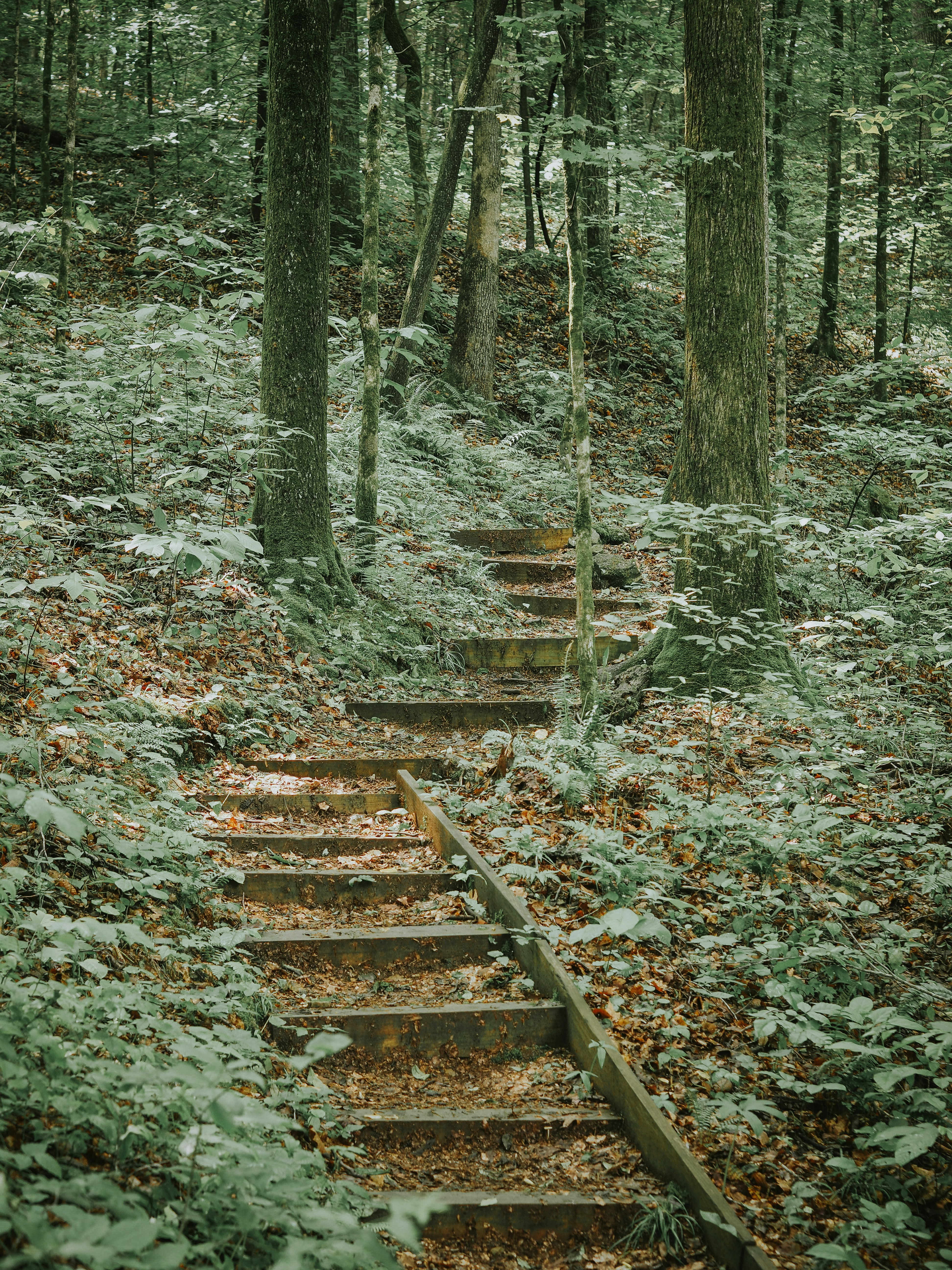 Photo by fieldworkframes