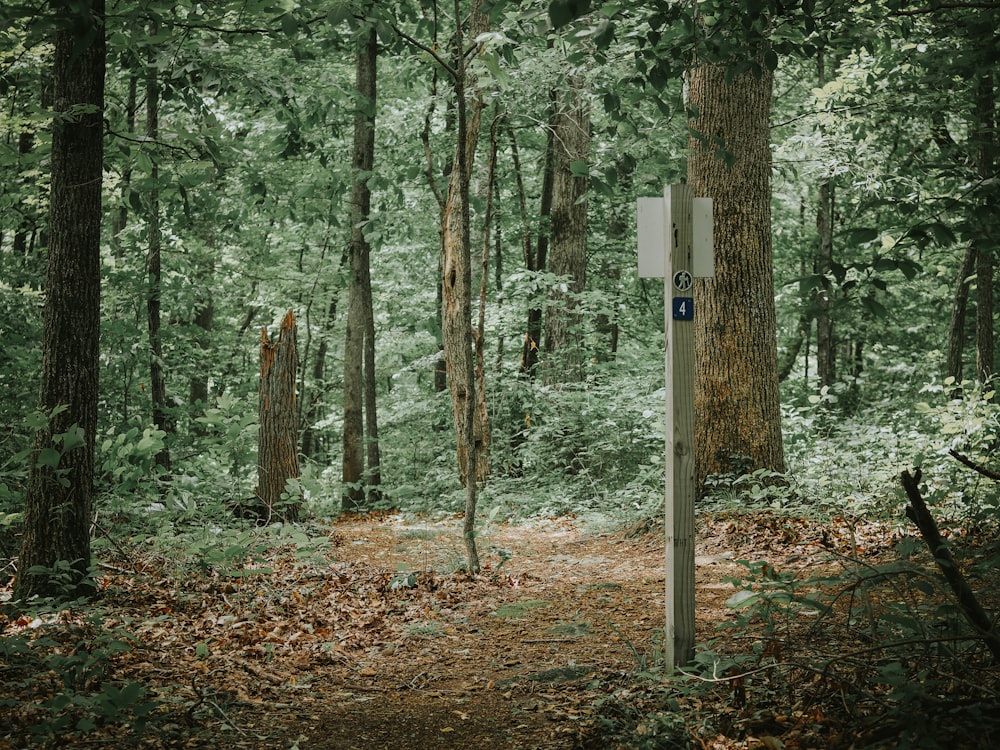 a sign in the middle of a forest