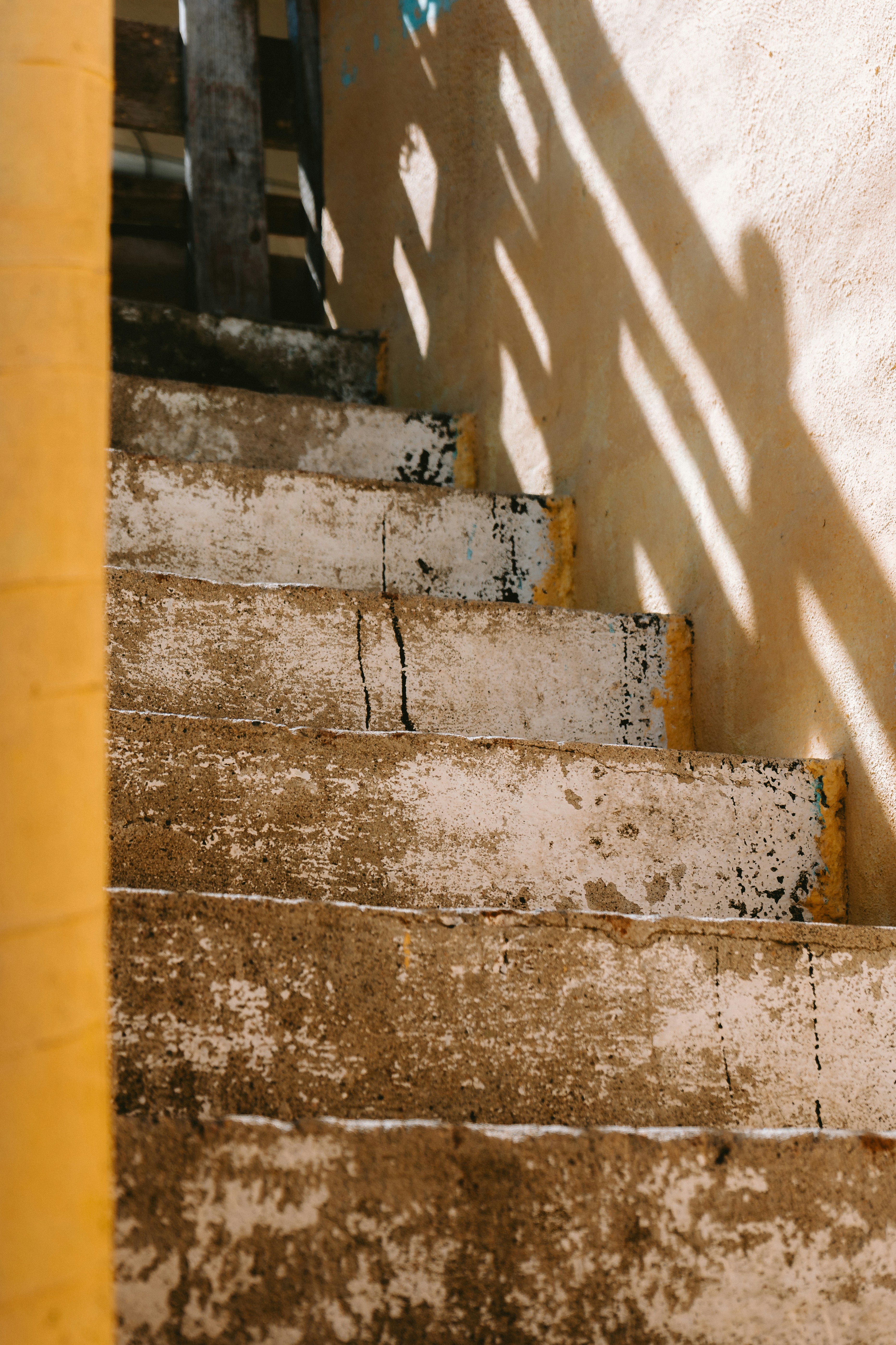 Photo by calebbosman17