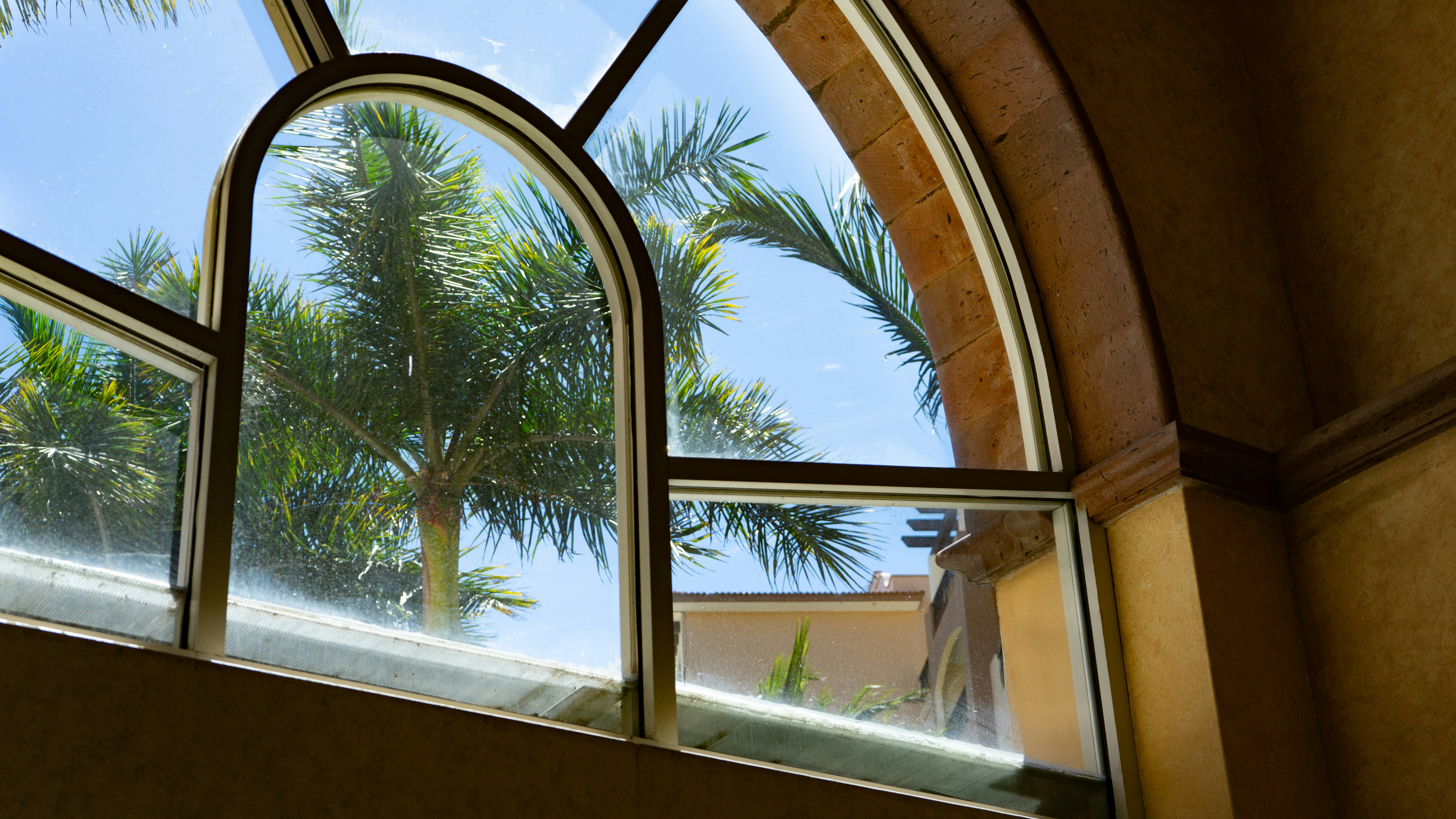 a view of a palm tree through an arched window