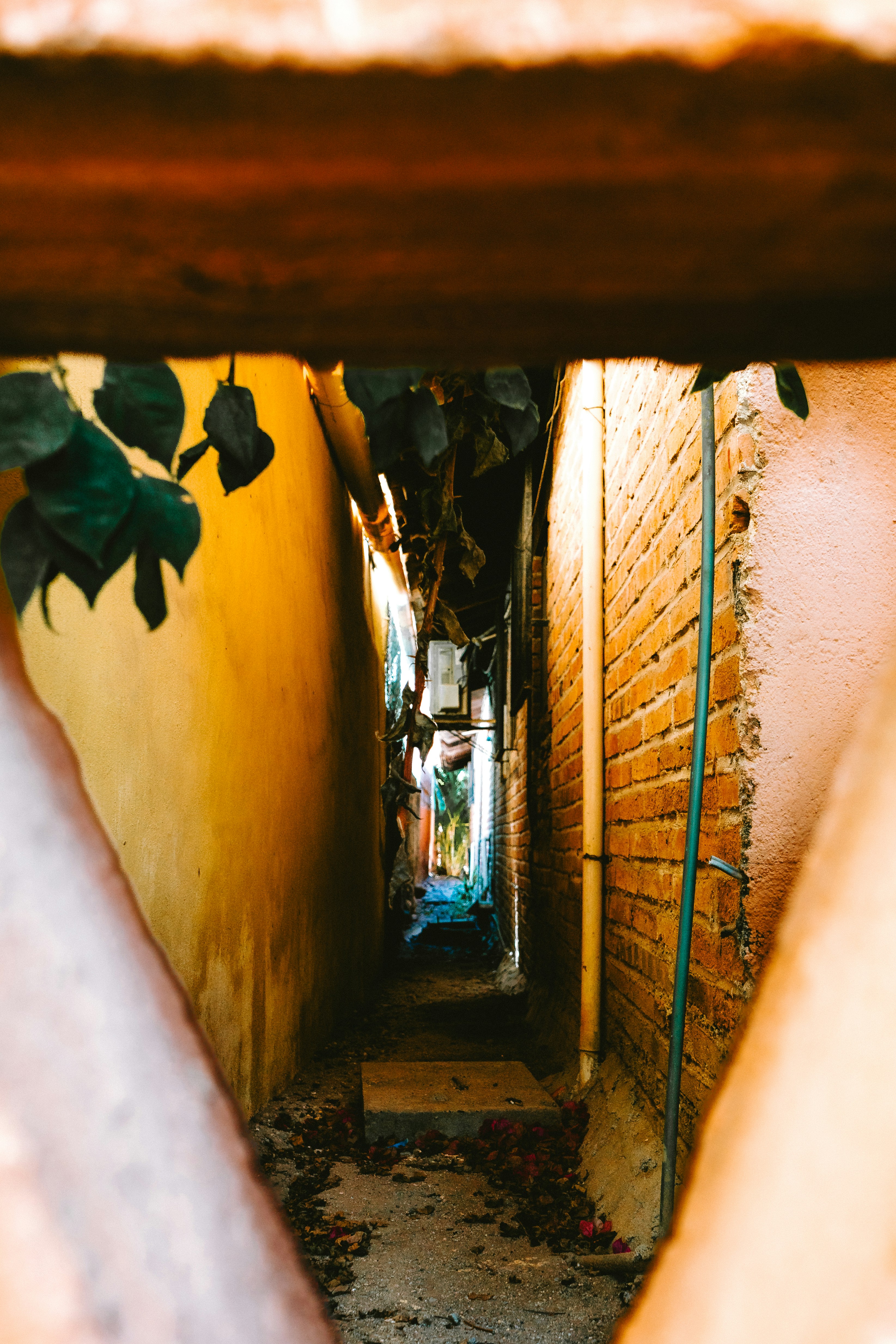 Photo by calebbosman17