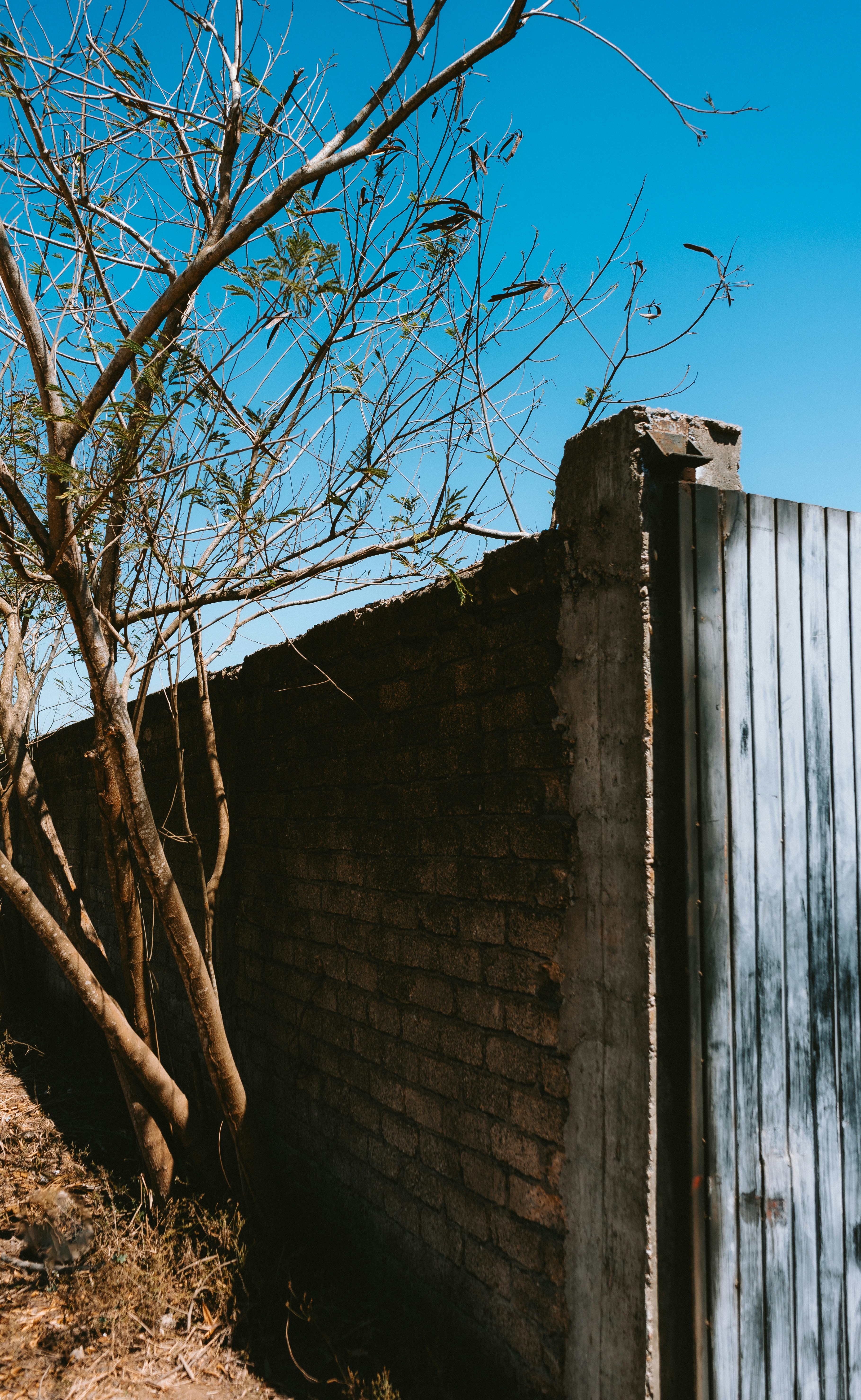 Photo by calebbosman17