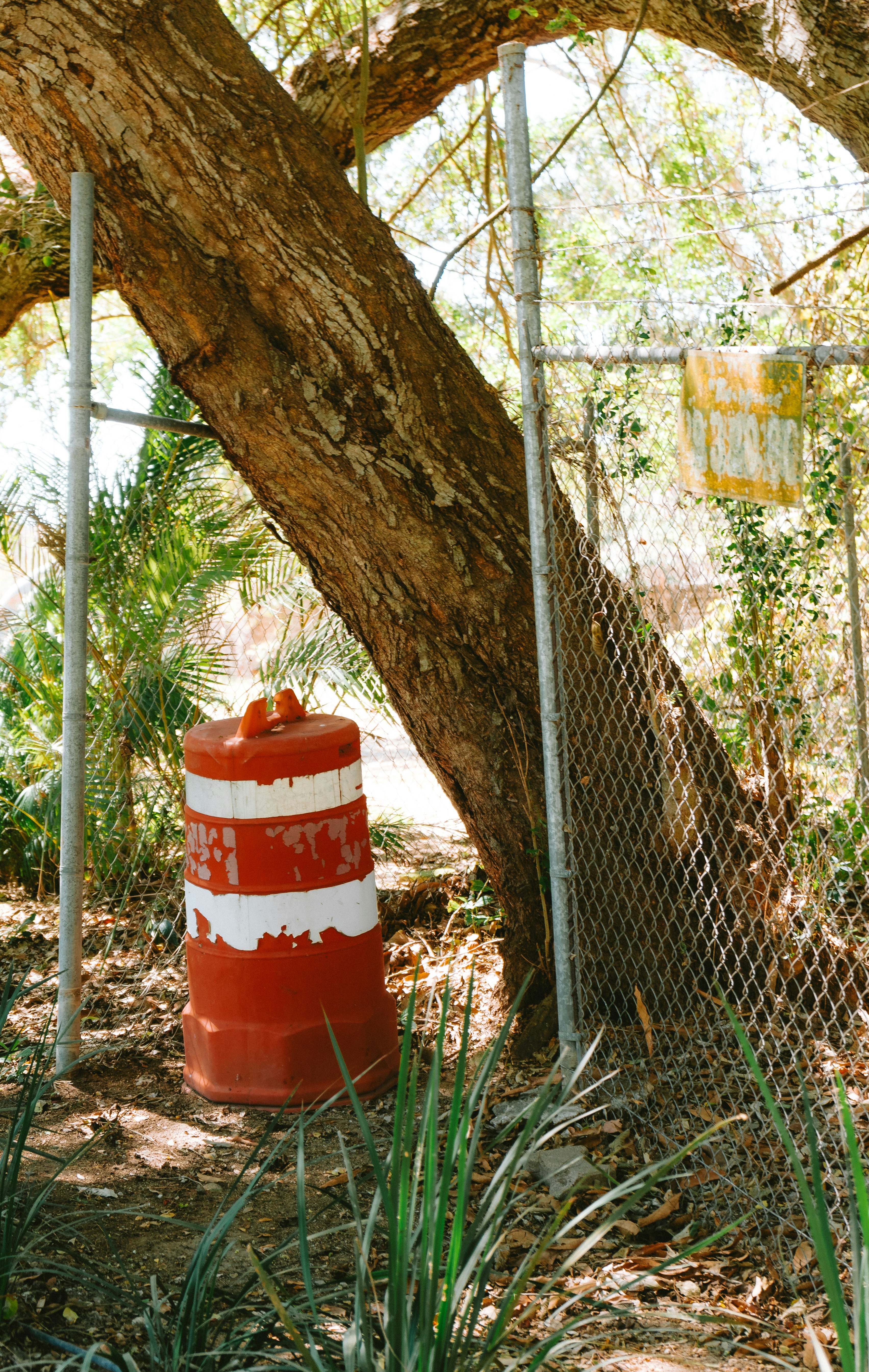 Photo by calebbosman17