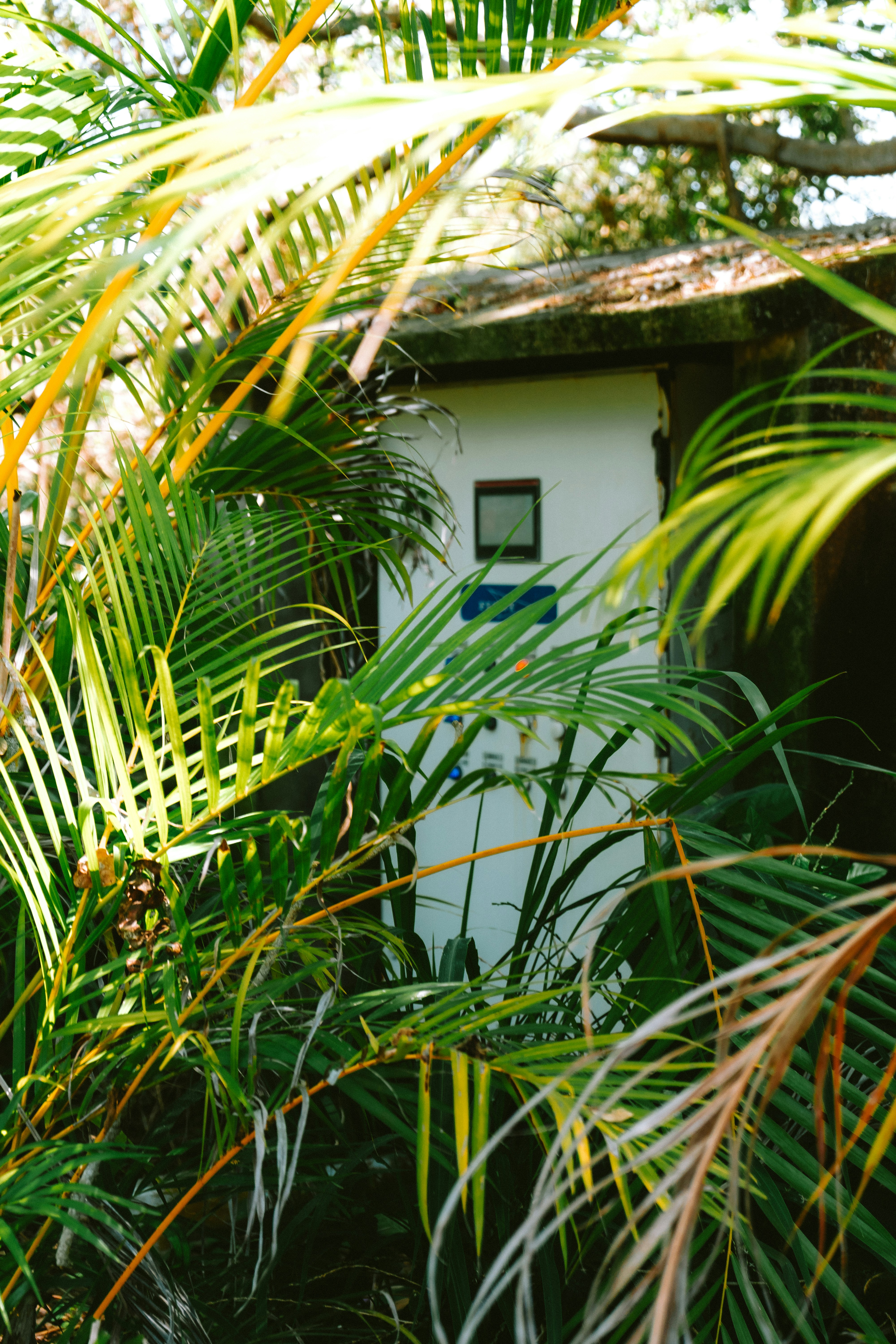 Photo by calebbosman17