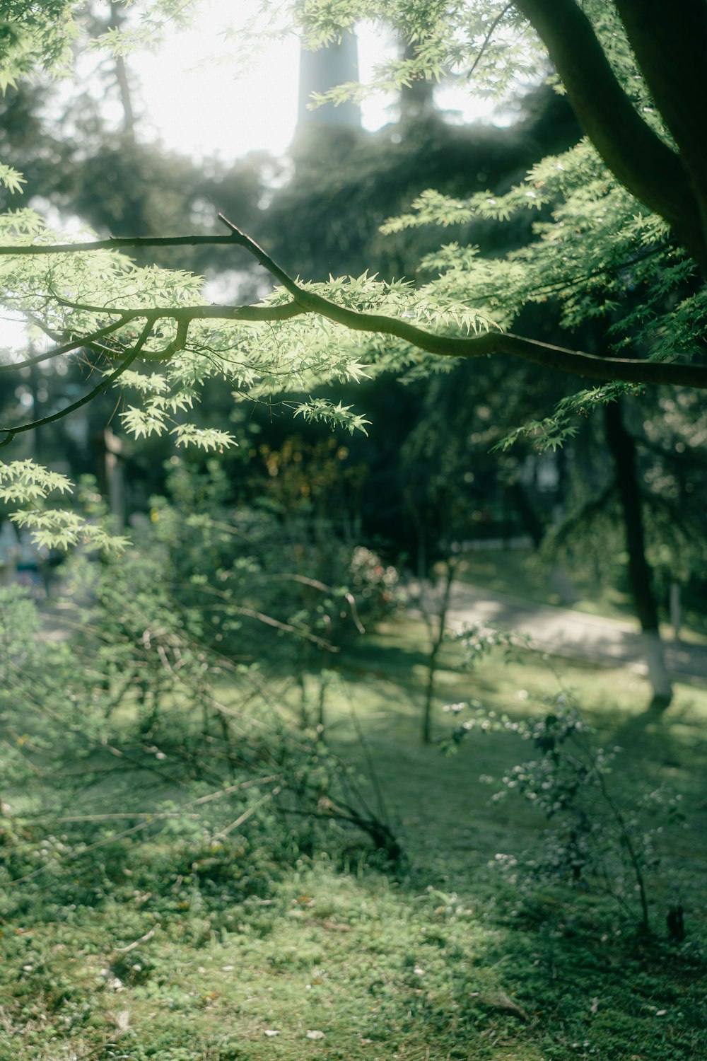 a bench sitting in the middle of a lush green park