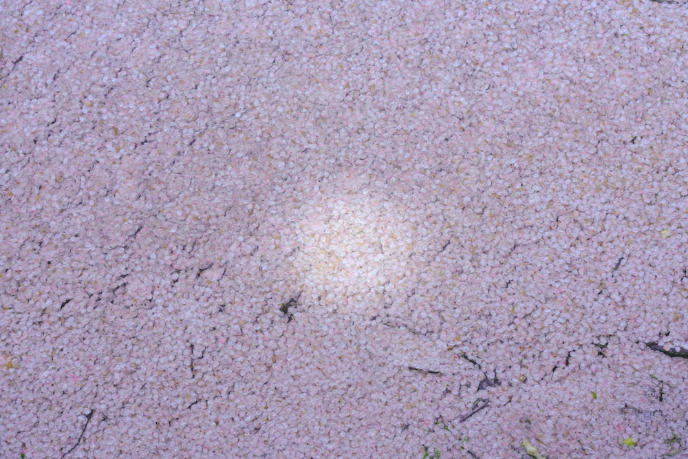 a close up of a white object on the ground