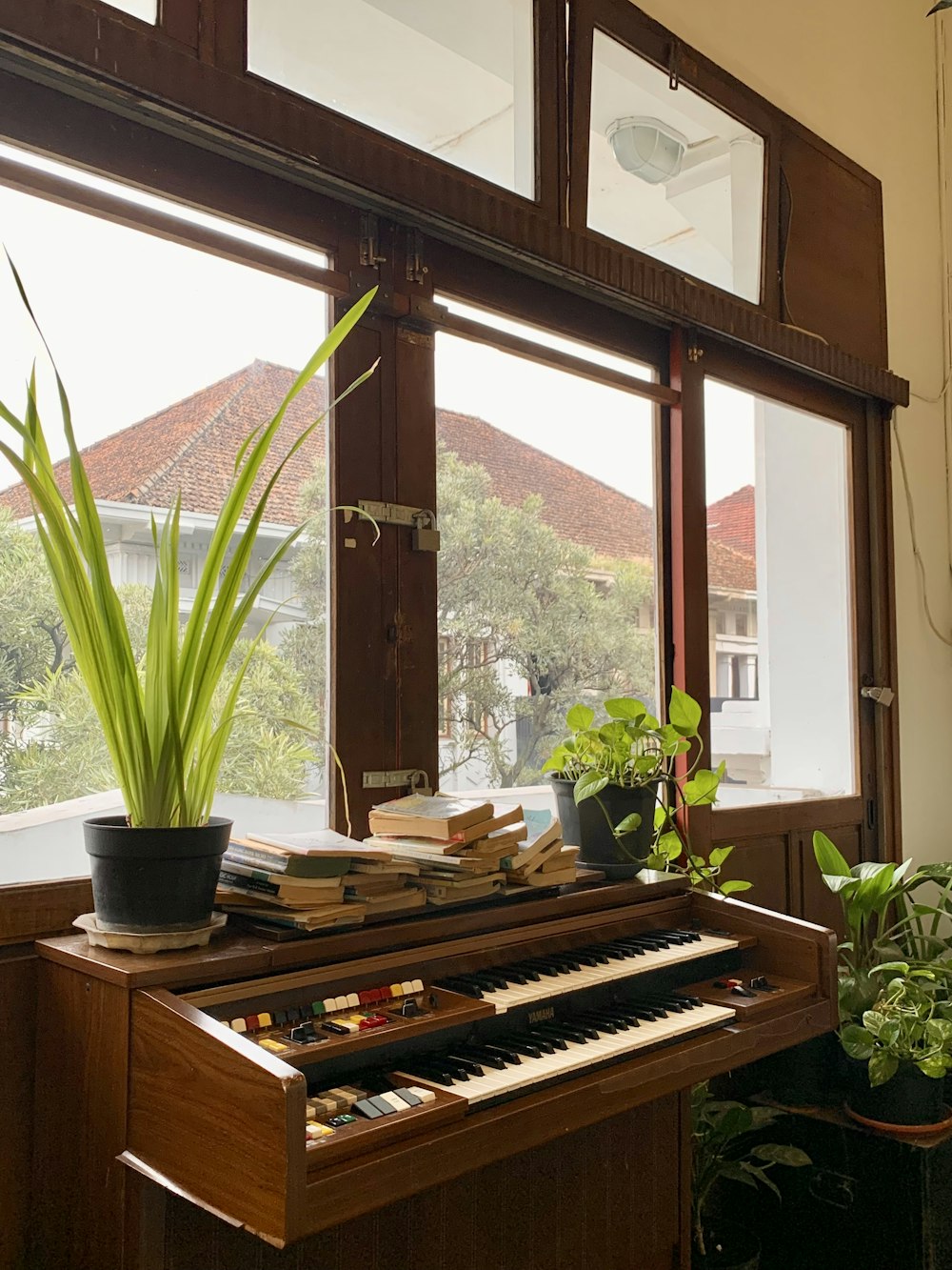 a potted plant sitting on top of a piano