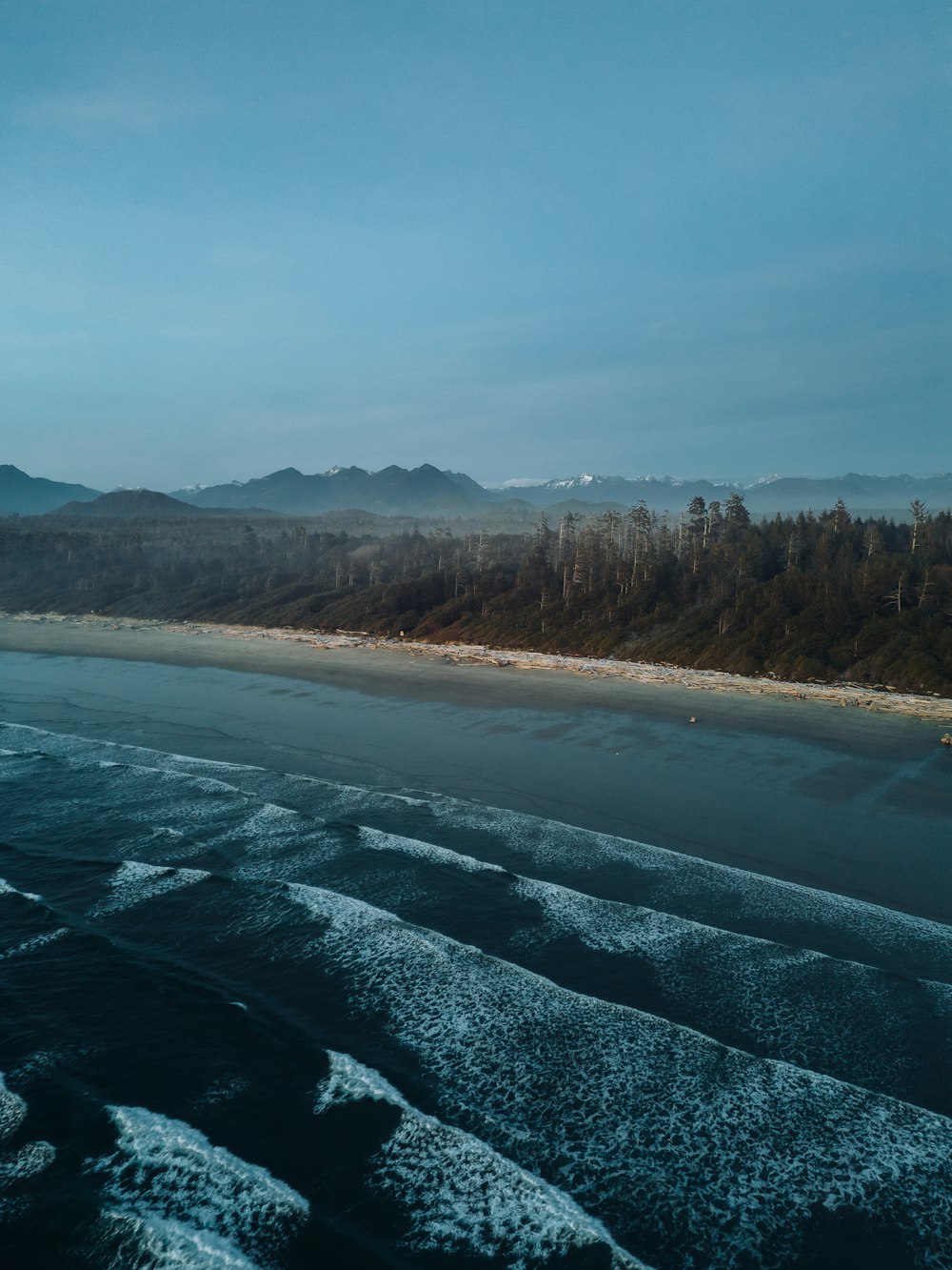 an aerial view of a beach with trees in the background