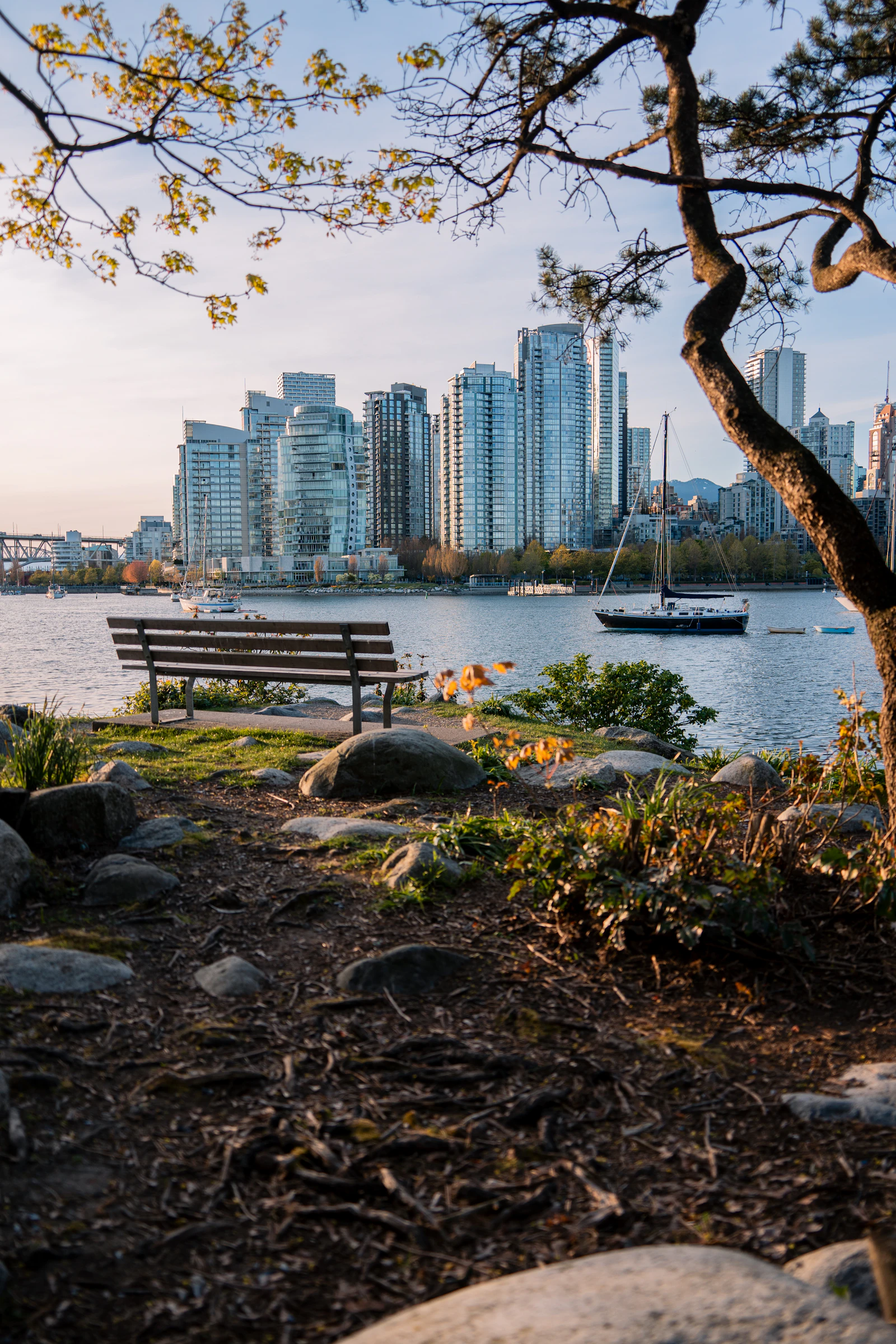 Golden hour over False Creek from a park bench in Vancouver