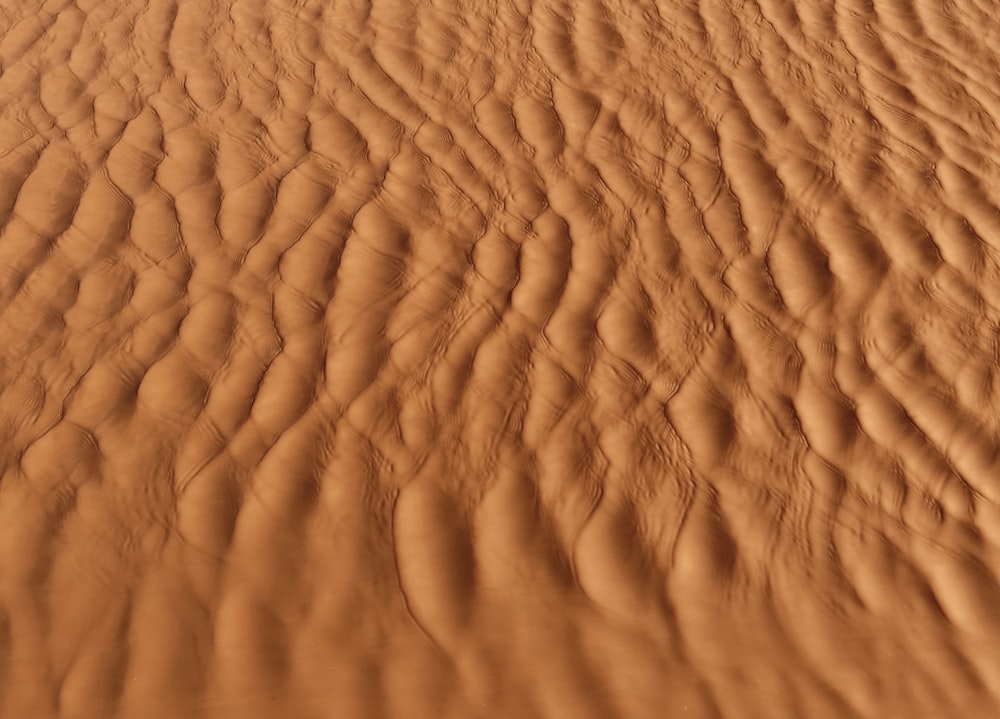 a sandy area with a small patch of grass in the middle of it