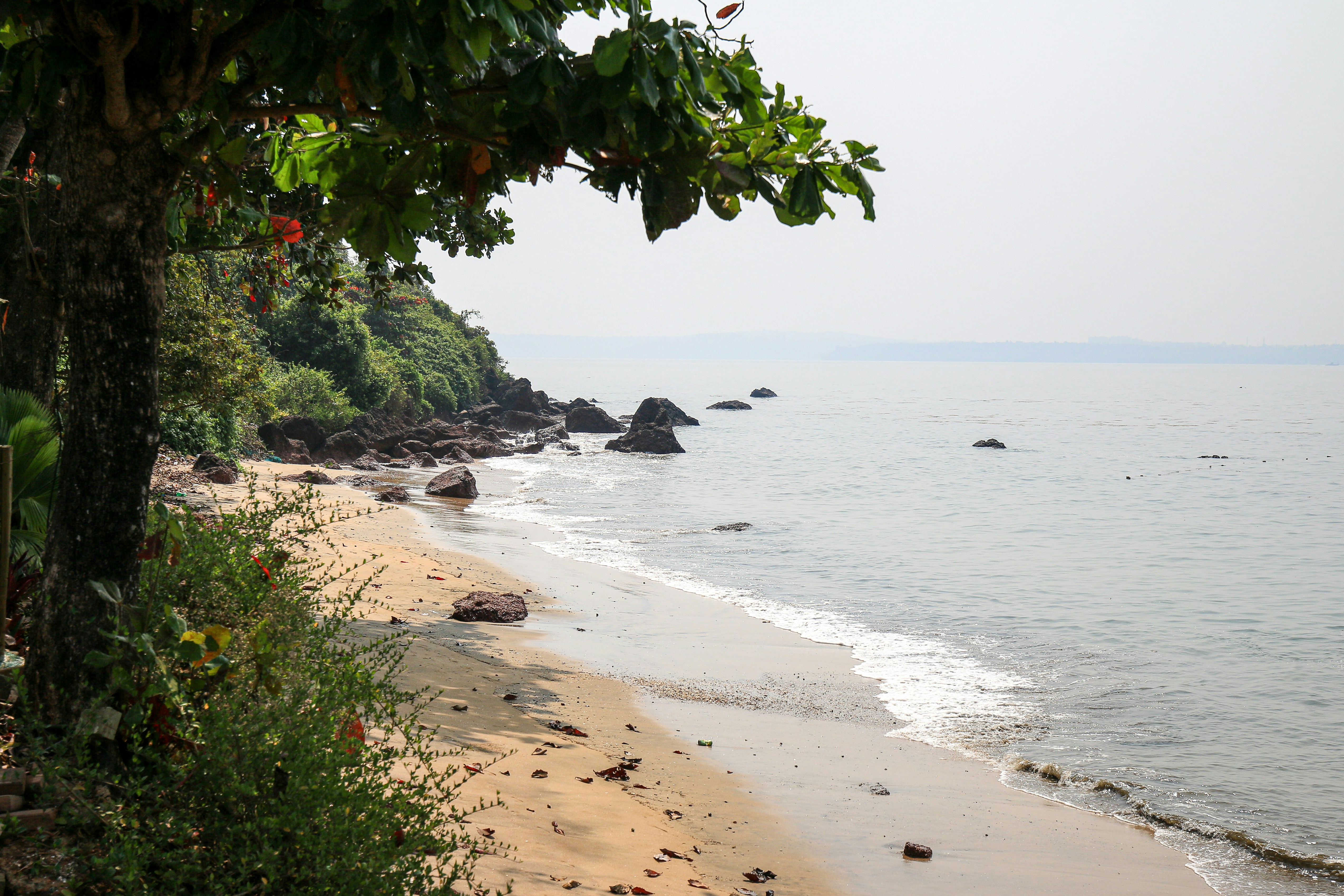 a view of a beach with trees and water, Goa