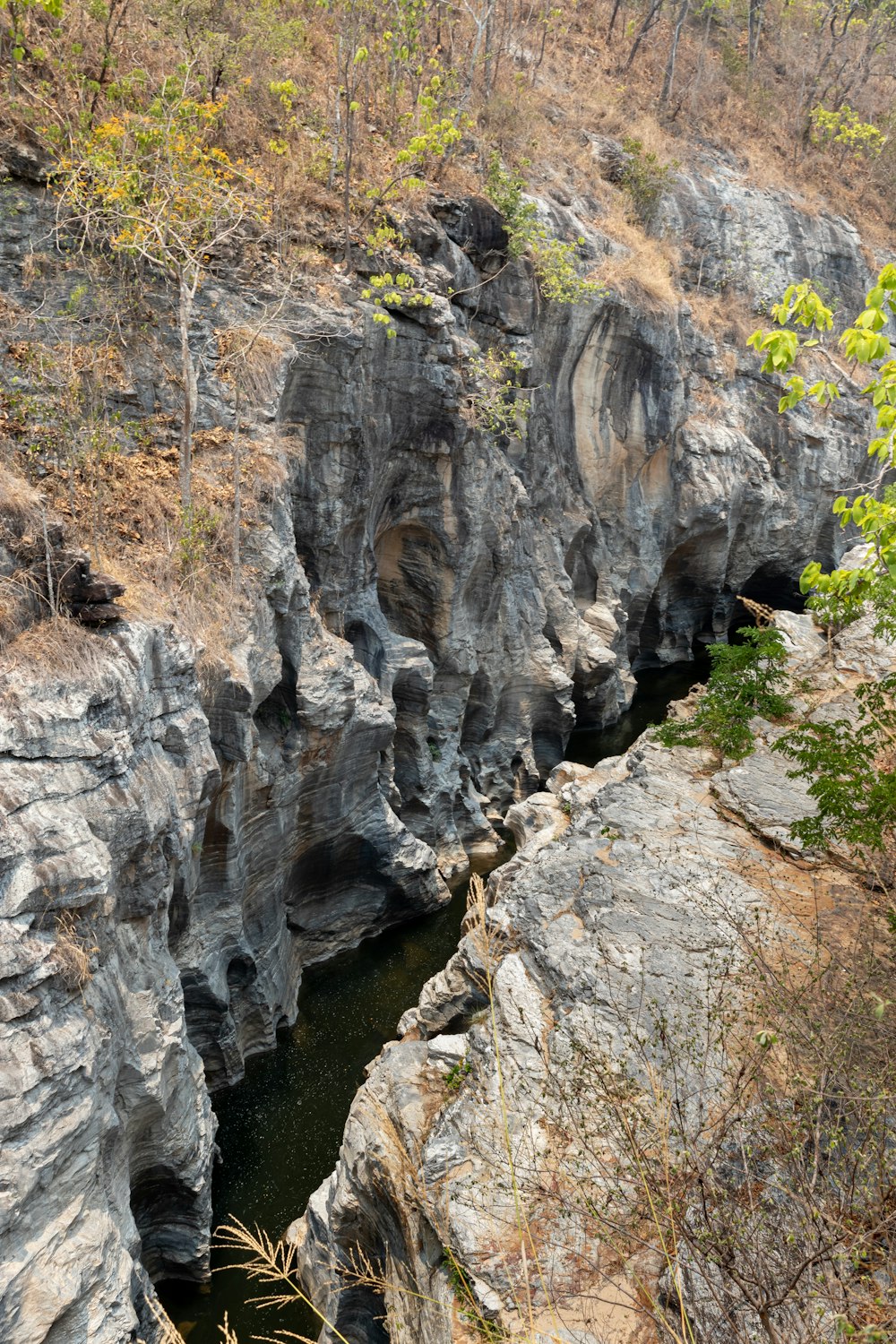 a river running between two large rocks in a forest