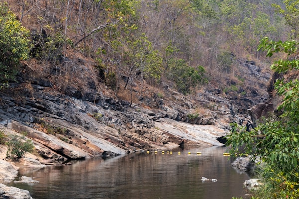 Phrae Cultural Traditions Guide: History, Customs, Festivals