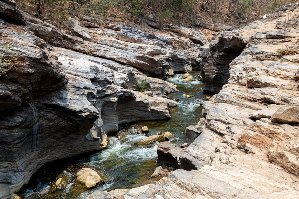 a river running through a rocky canyon next to a forest