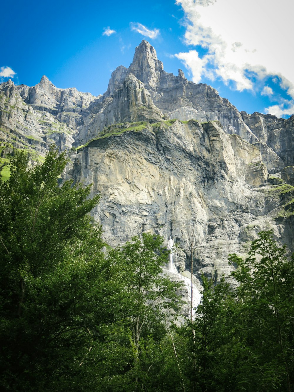 a view of a mountain with trees in the foreground