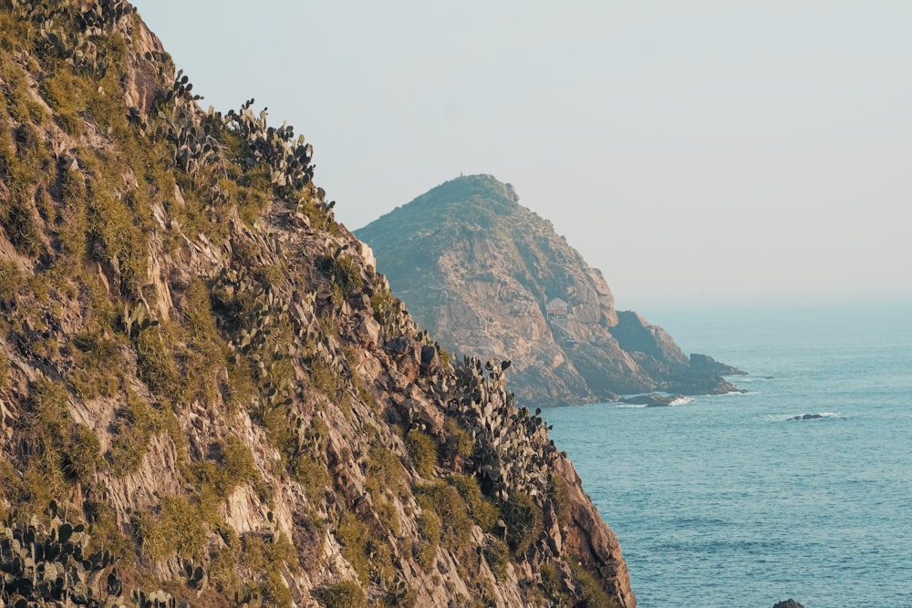 a bird is perched on the edge of a cliff