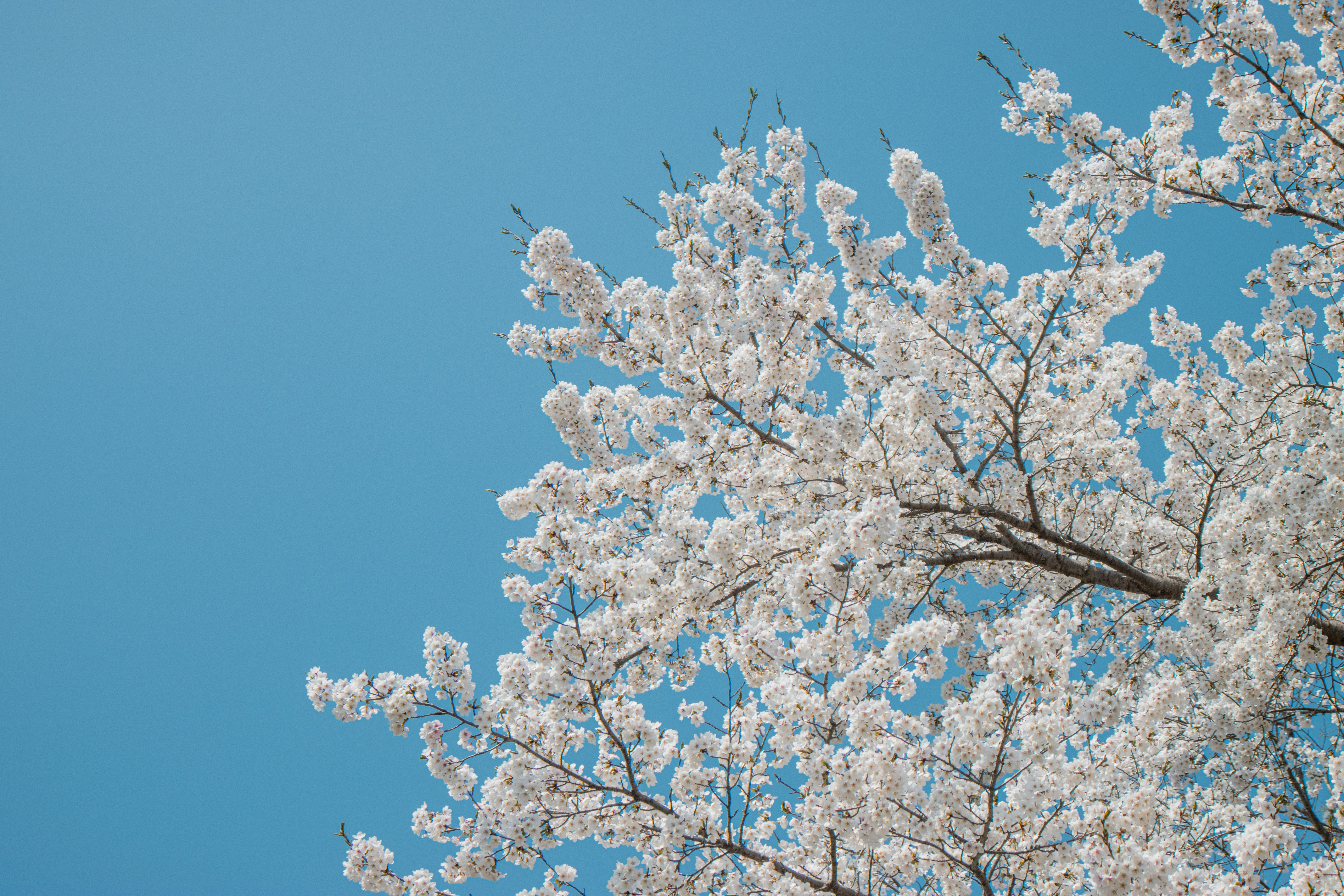 Photo by seoul_lover_lily