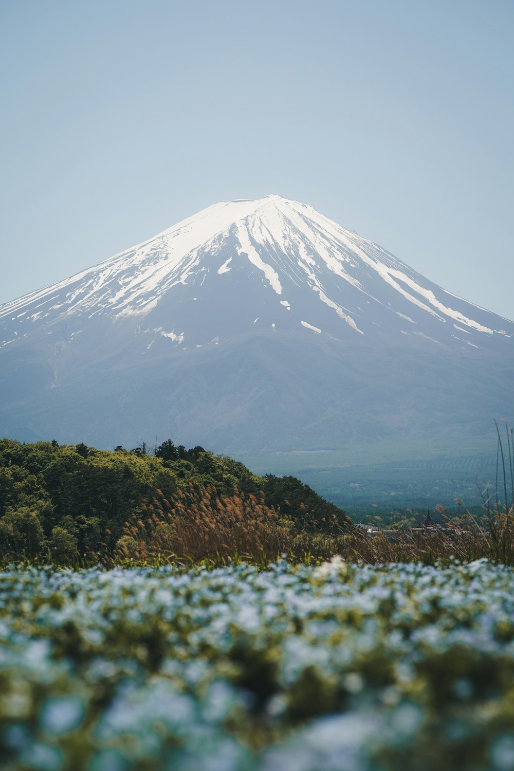 a mountain with a snow covered peak in the background