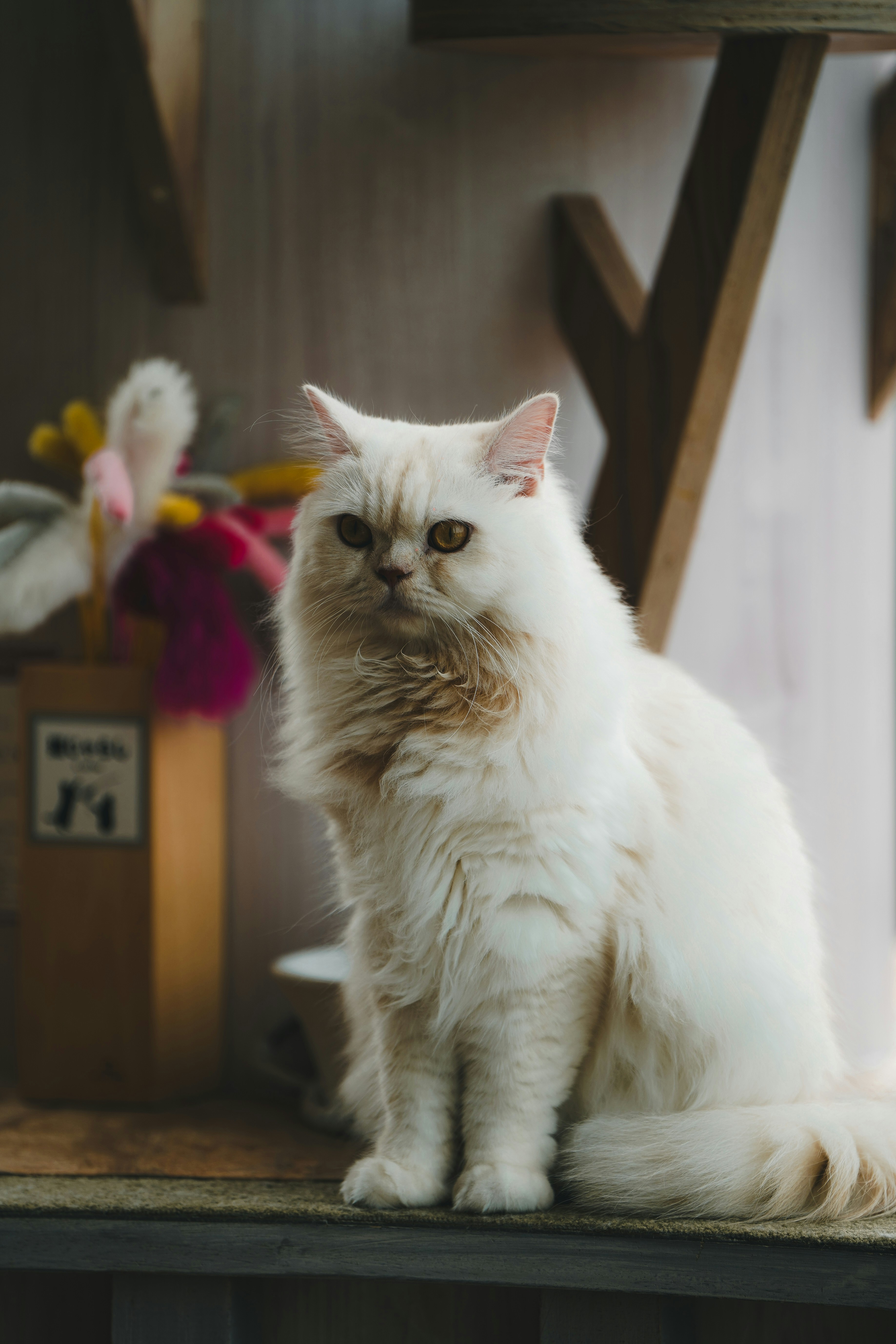 Photo by kevin_charit