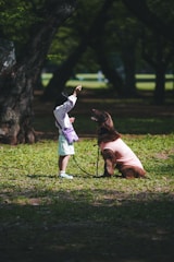 a little girl standing next to a dog on a leash