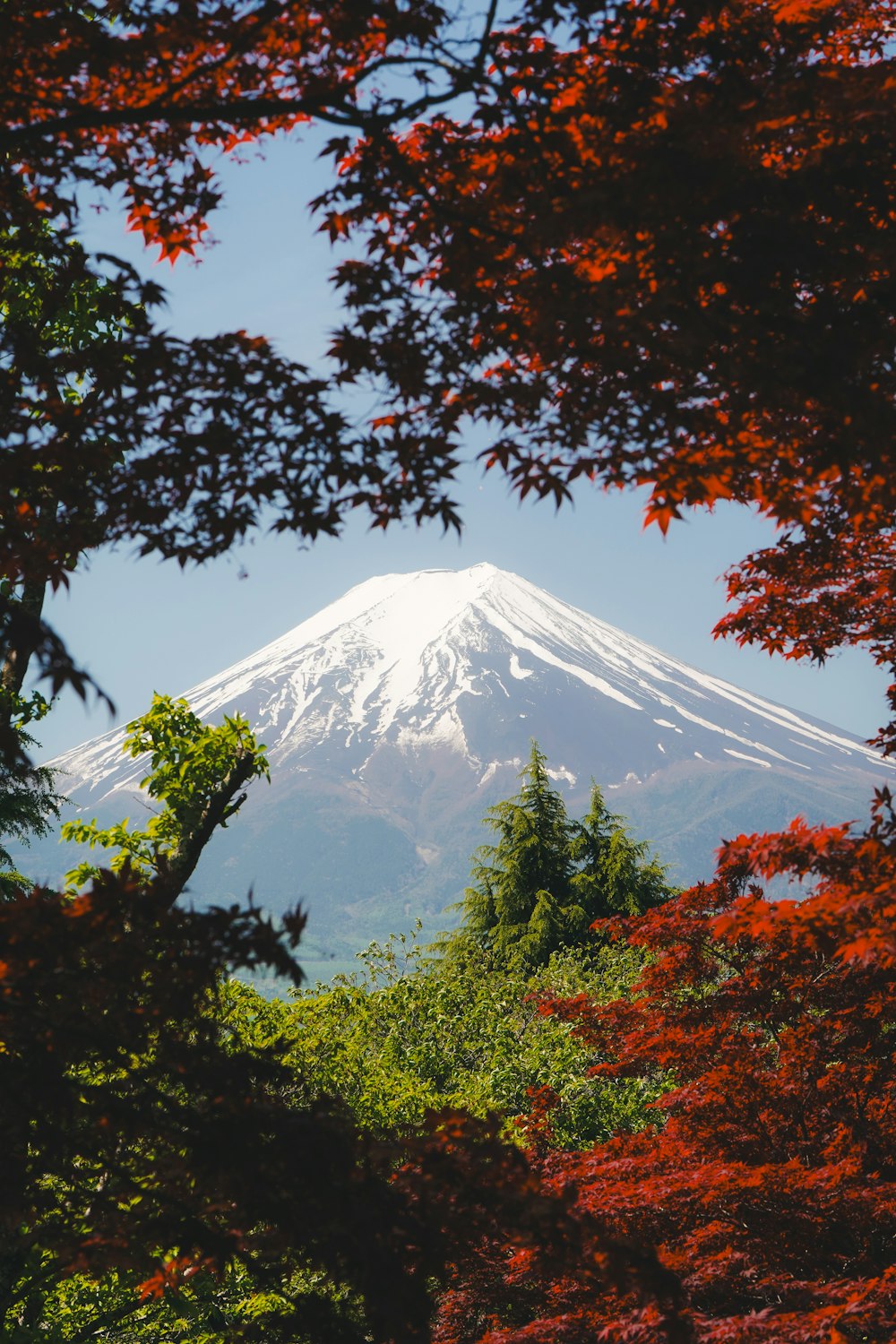 a view of a snow covered mountain through the trees