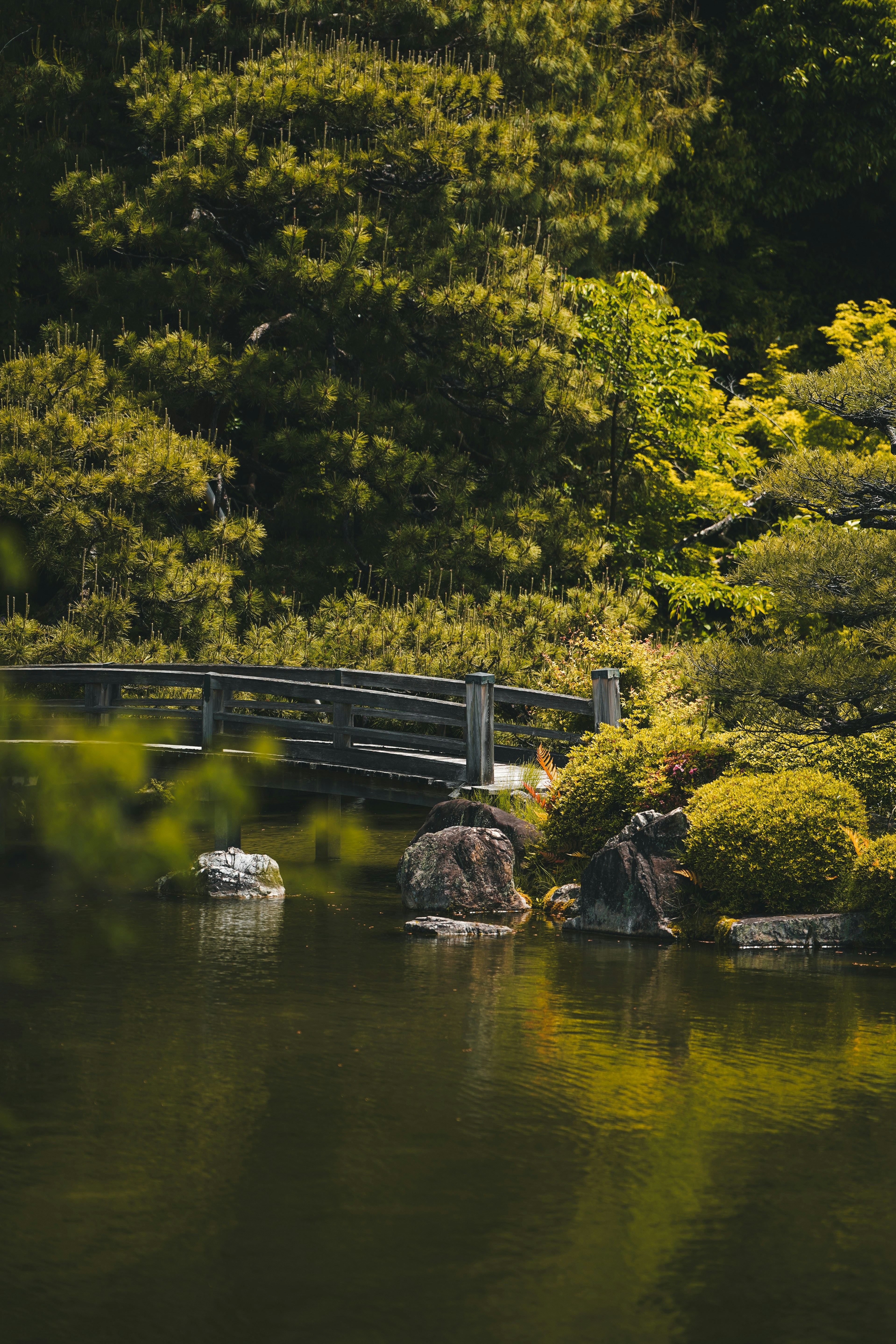 Photo by kevin_charit